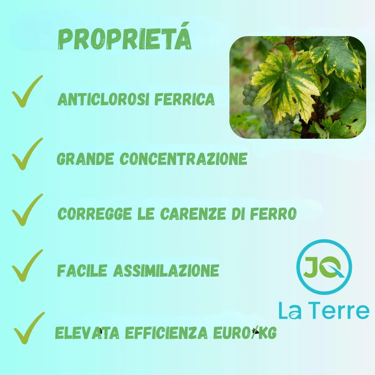 CHELATO DI FERRO 1 KG CON CHIUSURA ZIP E CUCCHIAIO DOSATORE rinverdente anticlorosi ferrica concime per piante correttore di ferro in polvere, 6% Fe-EDDHA, 4,8 (ORTHO-ORTHO)