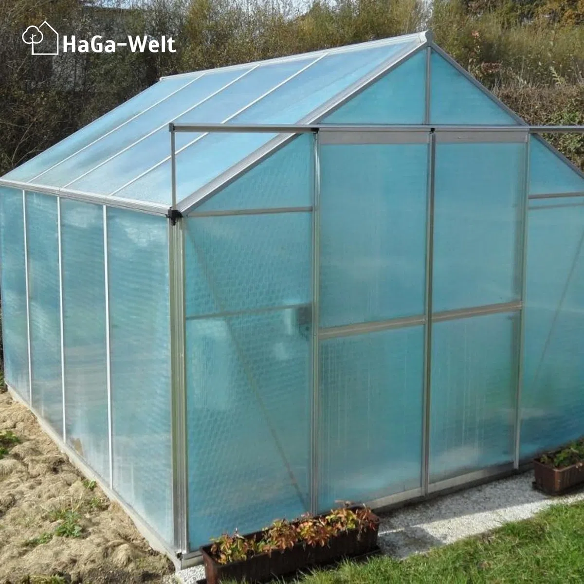 HaGa® Pellicola a bolle d'aria, 1,5 m x 5 m, per serra