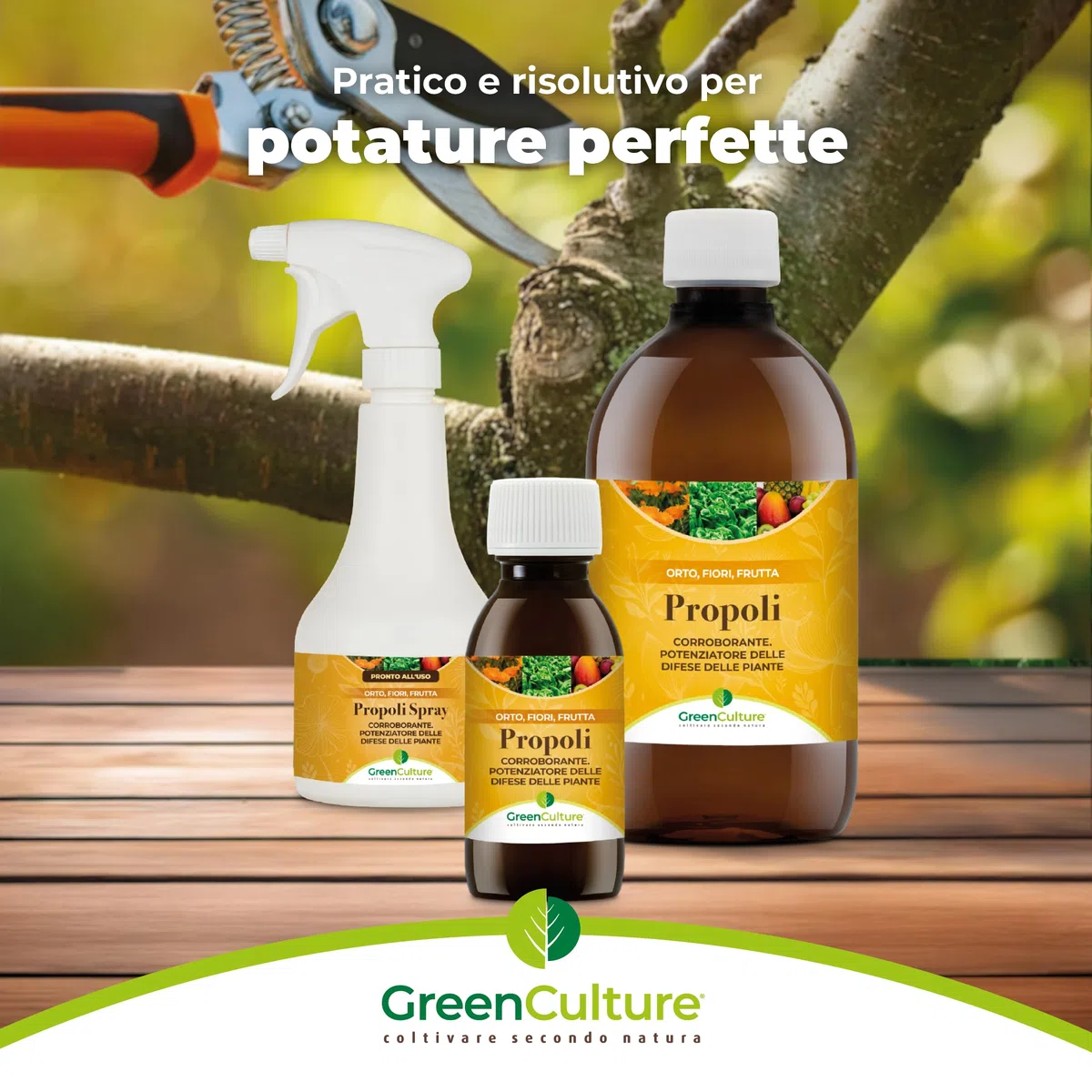 Propoli (PROPOLIS) 500ml GreenCulture