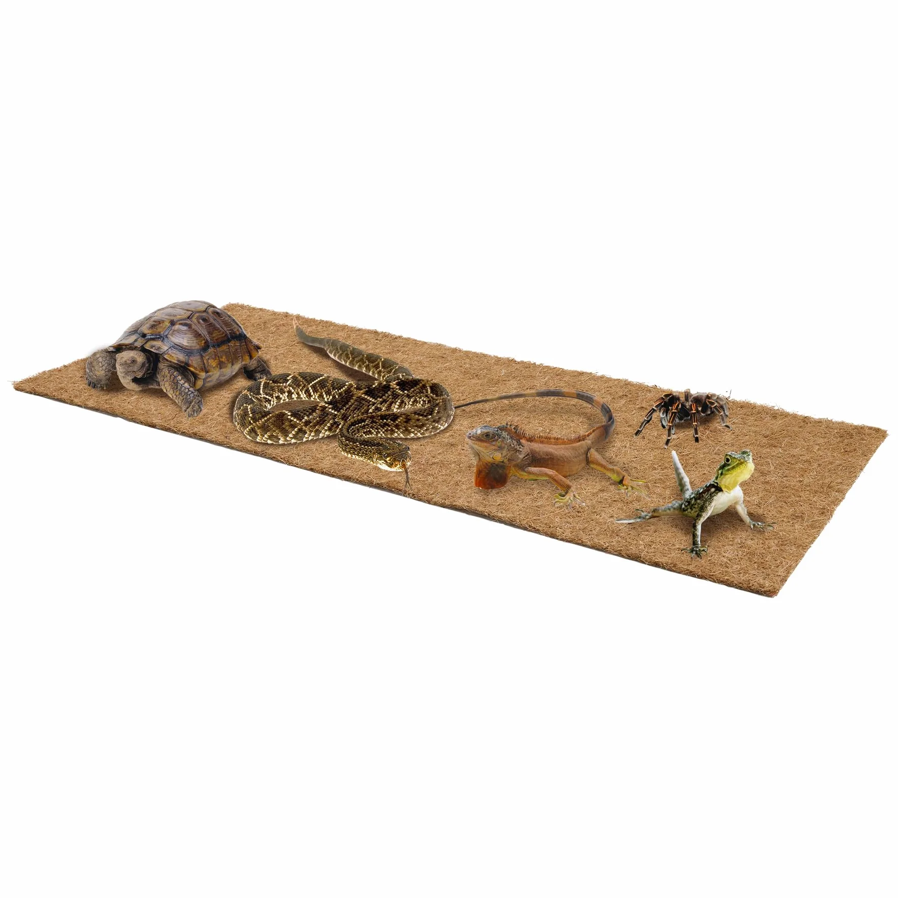 La Cordeline Set di 3 tappeti in Fibra di Cocco Naturale, 40 x 100 cm, 900 g/m², pacciamatura, Protezione Contro Il Freddo, Cattive Erbe, Tappeto Rettile terrario, Marrone