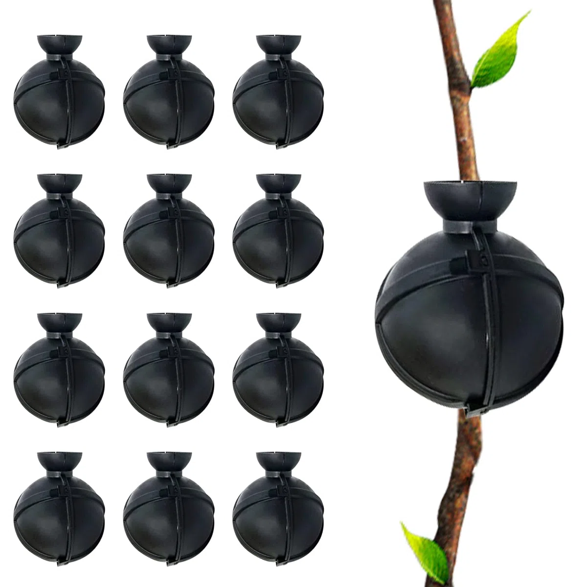 12 pezzi Dispositivo di Radicazione delle Piante Scatola di Innesto delle Piante per Radicamento di Propagazione Dell'Innesto di Fiori di Piante