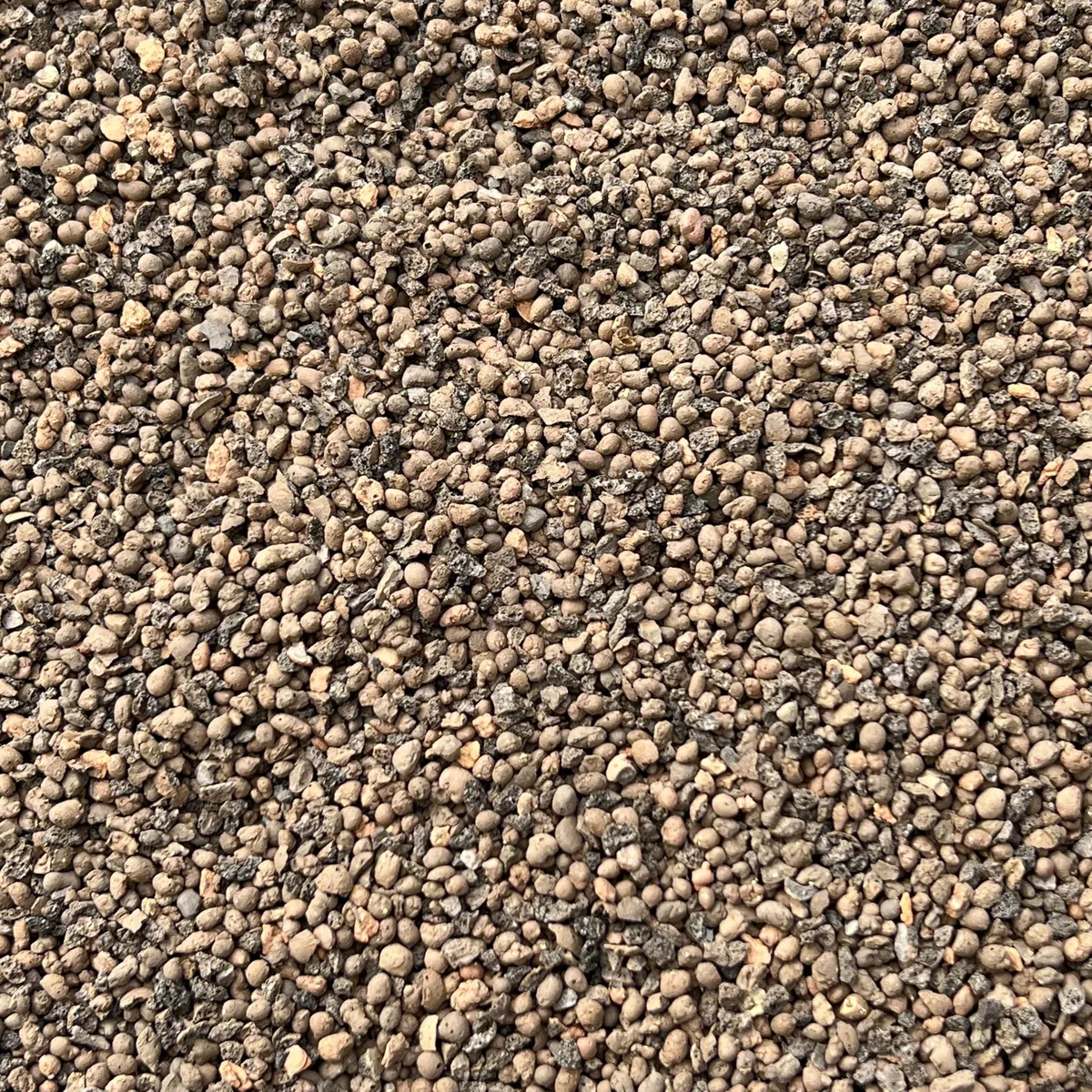 Leca - Grana per orticoltura, ciottoli di argilla, pietra lavica, grado fine 2-4 mm, 1 l (3 l)