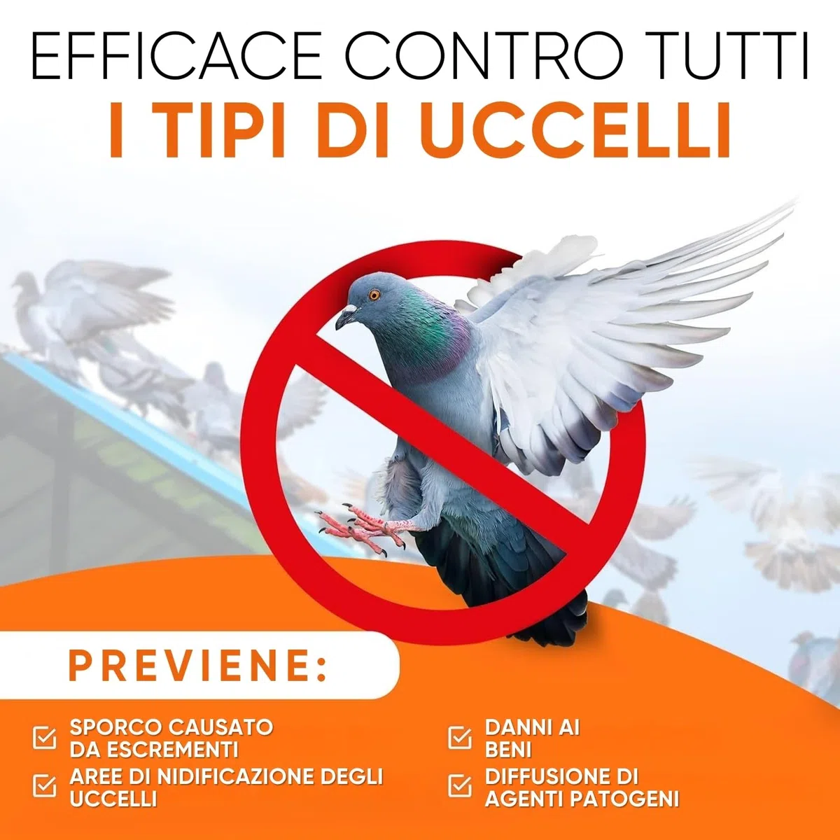 WERKTAL Dissuasore per Piccioni – Repellente Efficace e Durevole in Acciaio Inox [3 metri] – Protezione Anti Uccelli per Balcone e Finestre