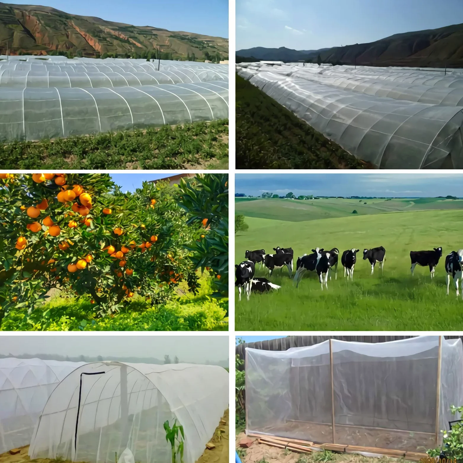 Rete per insetti a maglie strette， Garden Netting 4x7m for Vegetables Plants Fruits Flowers