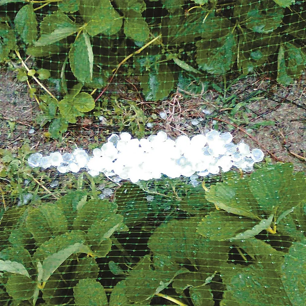 VERDELOOK Tessuto Antigrandine in Rotoli, 1.5x10m, Verde, per Agricoltura, vigneti e coperture