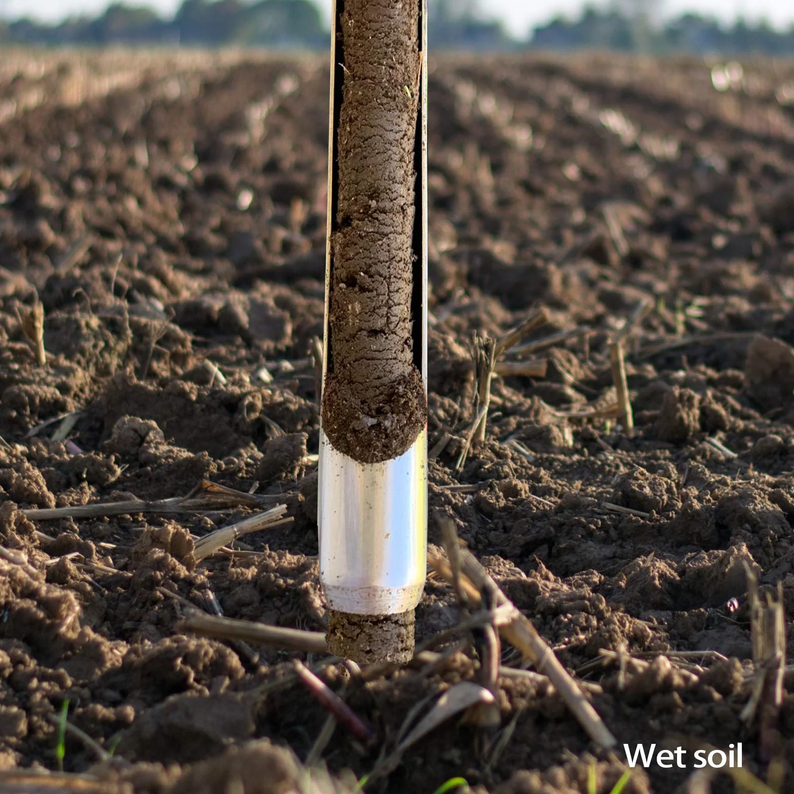SurmountWay - Sonda campionatore per suolo da 30 cm con 2 sacchetti riutilizzabili per campioni, in acciaio inox, con manico a T, piante per la cura del terreno, giardino e prato agricolo