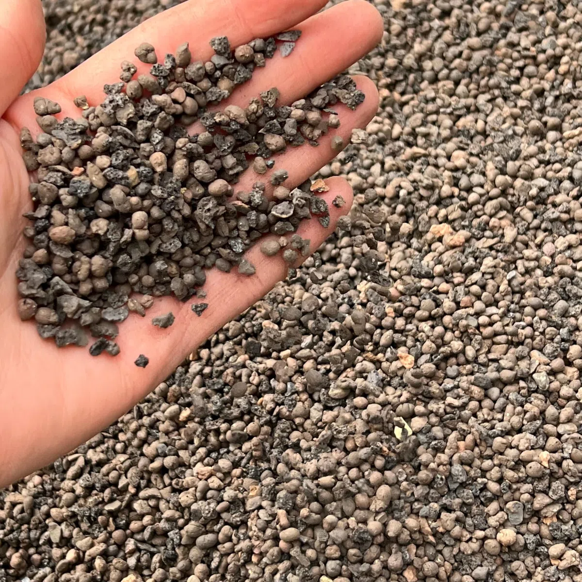 Leca - Grana per orticoltura, ciottoli di argilla, pietra lavica, grado fine 2-4 mm, 1 l (3 l)