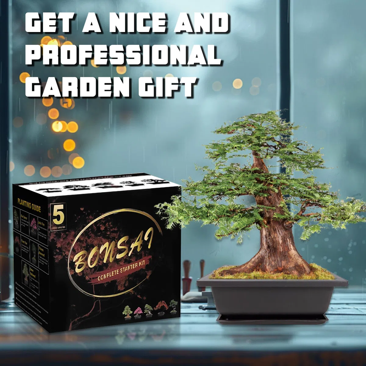 Starter kit per bonsai, 5 semi che crescono in abete blu, bosso cinese, sequoia alba, albero di fiamma e albero di Giuda, con attrezzi da giardinaggio completi con scatola regalo, regali di