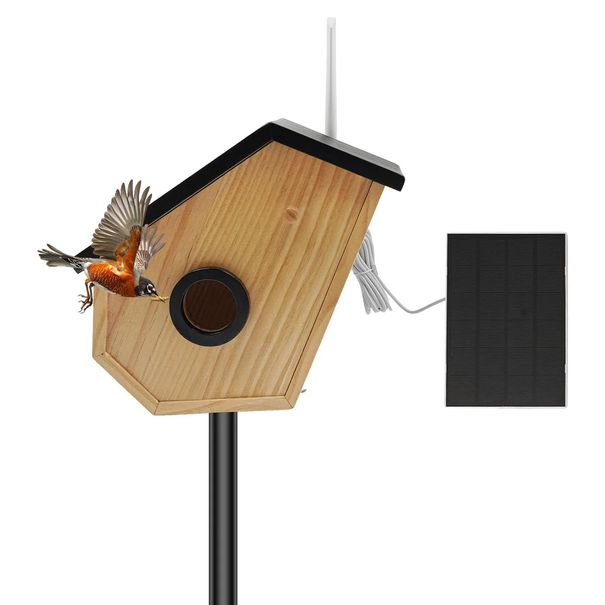 Casetta per uccelli in legno di pino a energia solare, con fotocamera solare, riconoscimento degli uccelli artificiali, batteria per visione notturna HD, IP65, in legno di pino per giardino