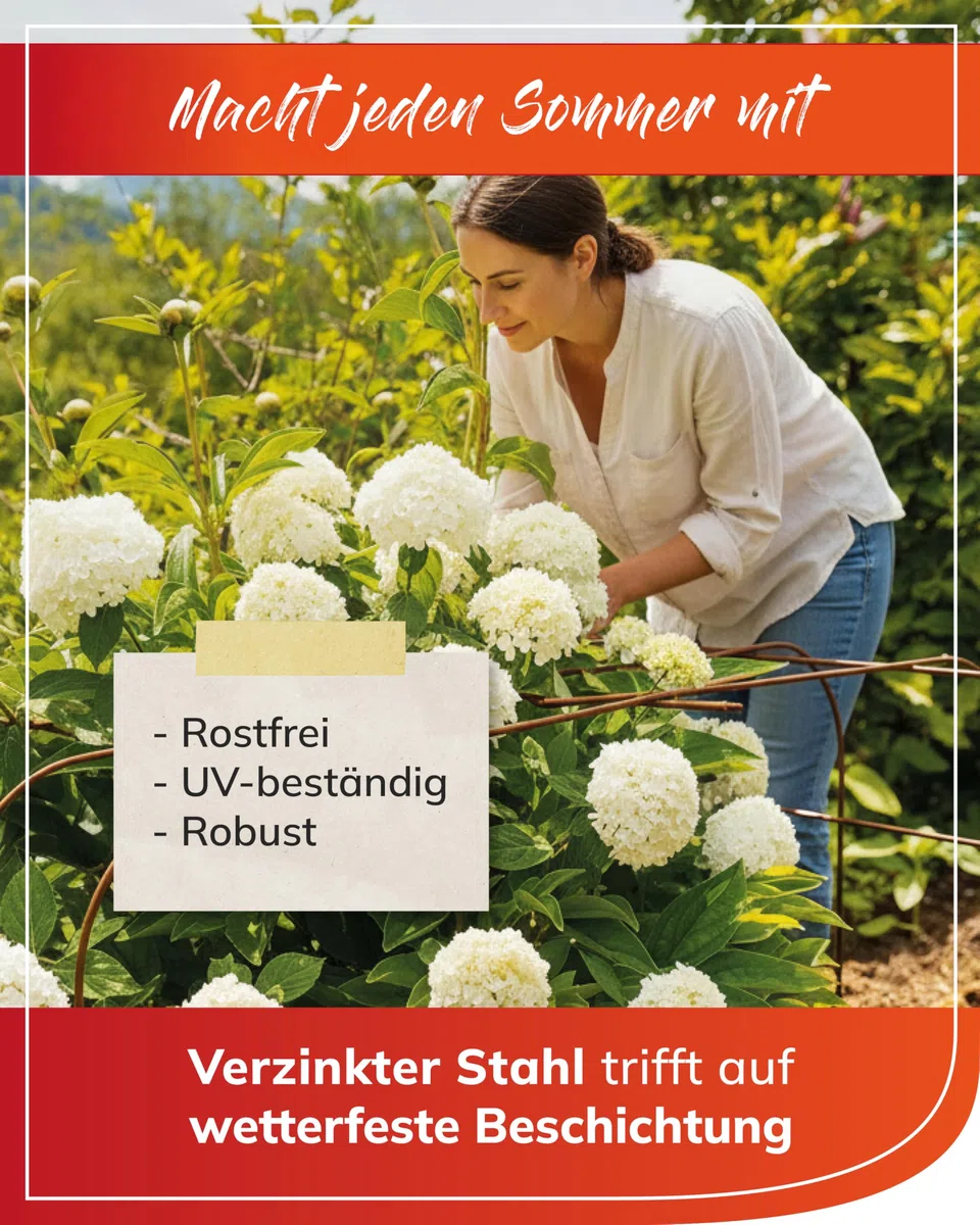 bellissa - Supporto per ortensie (Annabelle) – Supporto per piante in metallo zincato a caldo 65 cm – Supporto per ortensie e piante per grandi fiori