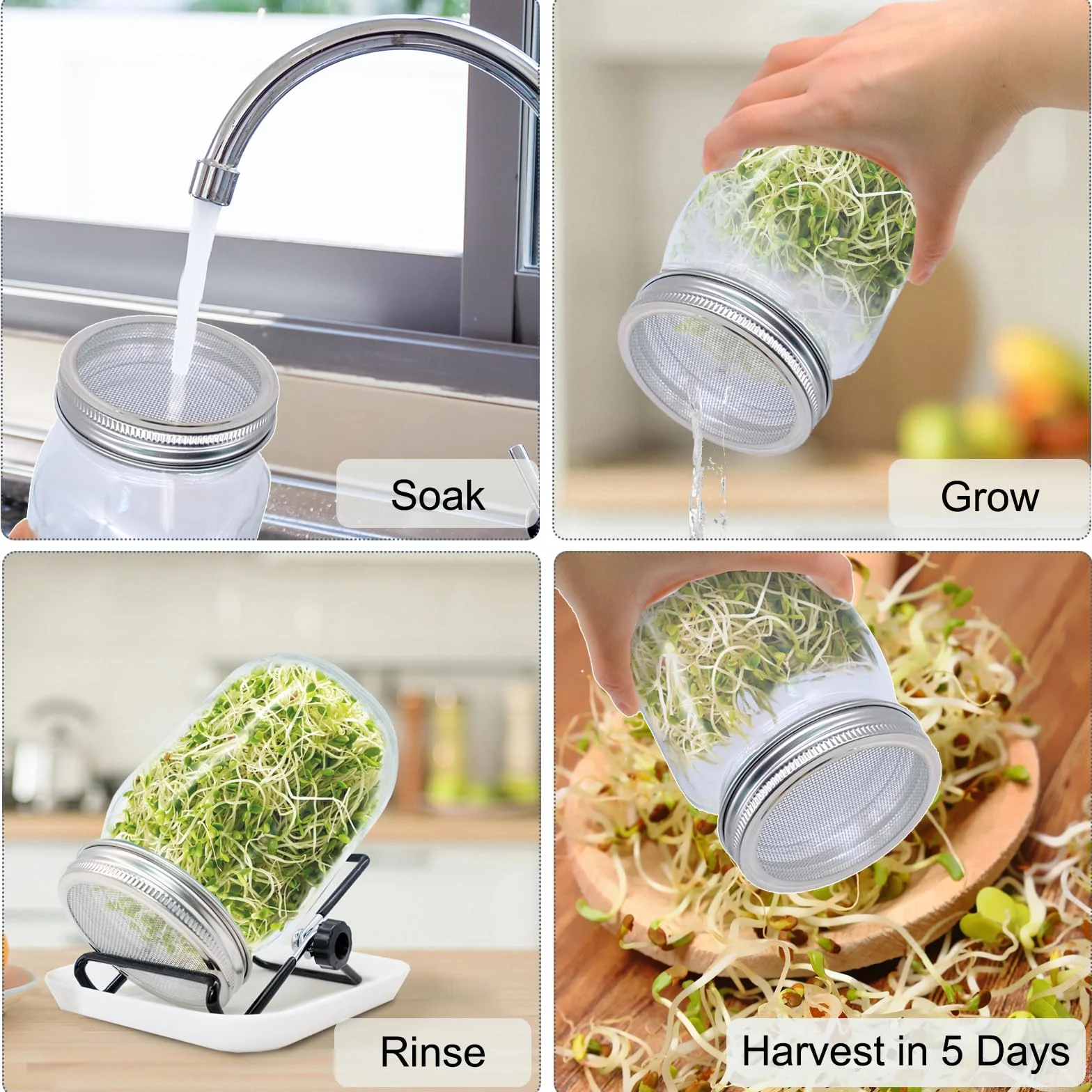 1 set di 1000 ml vasetti da germinazione, kit di germinazione per germinazione, fornito con un coperchio del filtro, un supporto regolabile e un vassoio per gocciolamento
