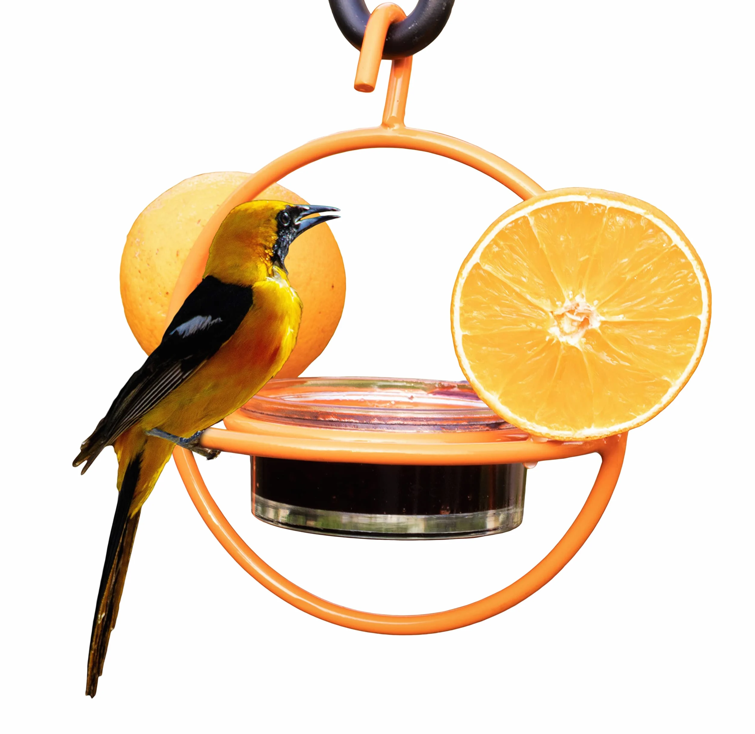 Monarch Abode Mangiatoia per uccelli da appendere all'esterno, arancione, 18748
