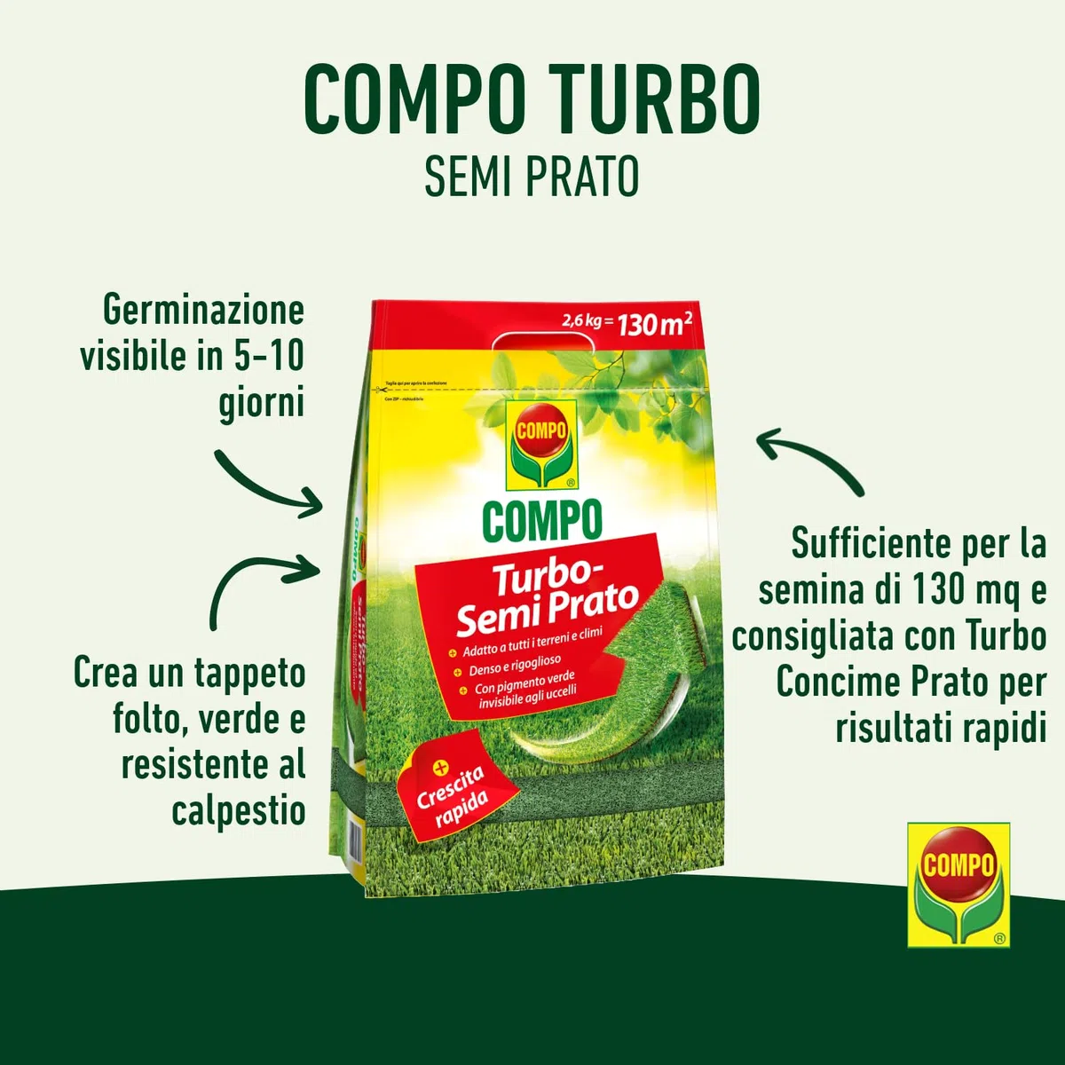 COMPO TURBO Semi per il Prato, Germinazione Rapida e Inseidamente Efficace, 2,6kg