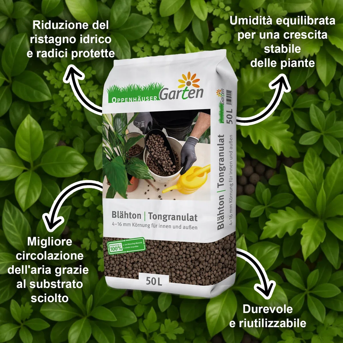 Argilla espansa 50L: Granulato di Argilla 4–16 mm per Giardino, drenaggio e Coltura idroponica in vasi da Fiori, Piante da Interno, per Uso Interno ed Esterno