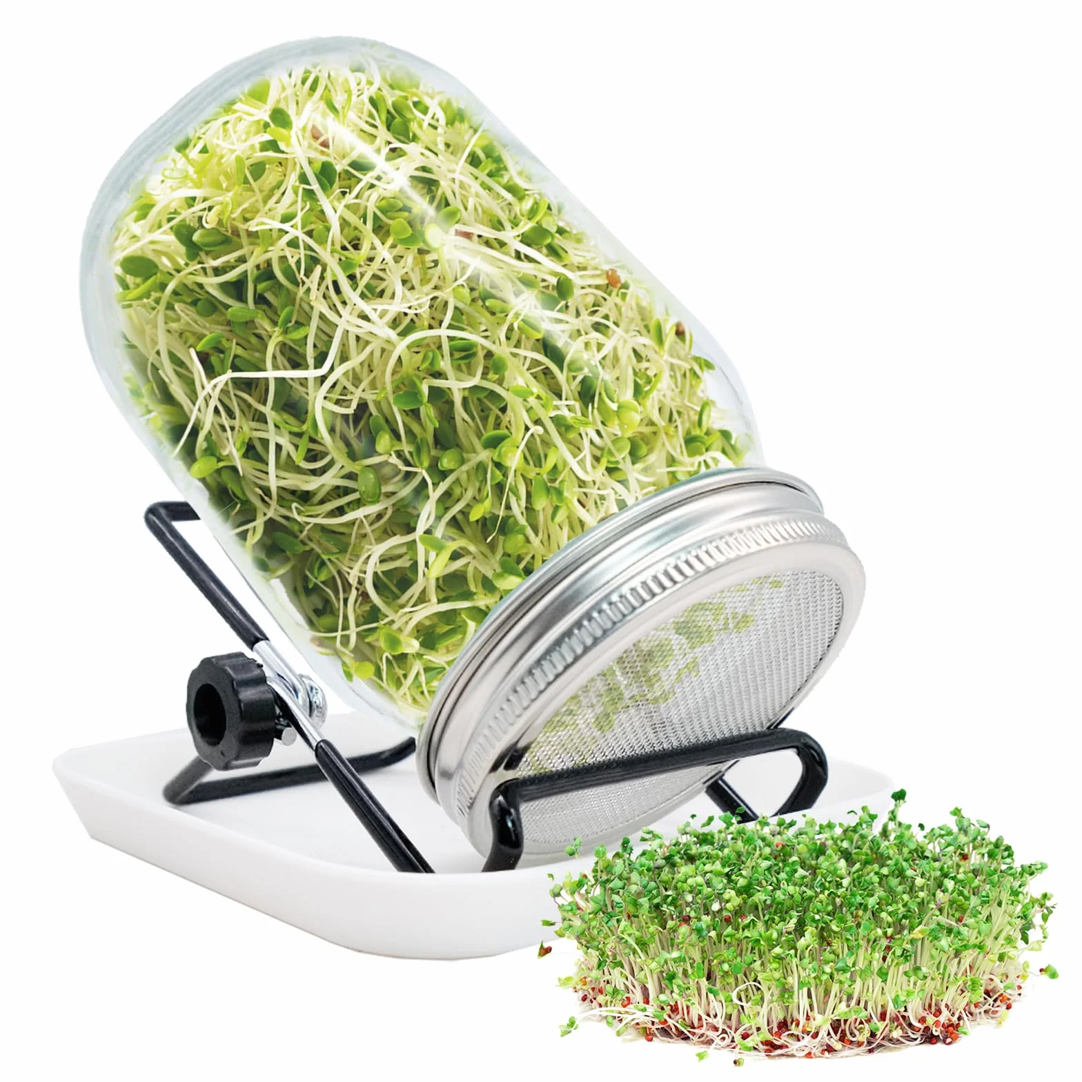 1 set di 1000 ml vasetti da germinazione, kit di germinazione per germinazione, fornito con un coperchio del filtro, un supporto regolabile e un vassoio per gocciolamento