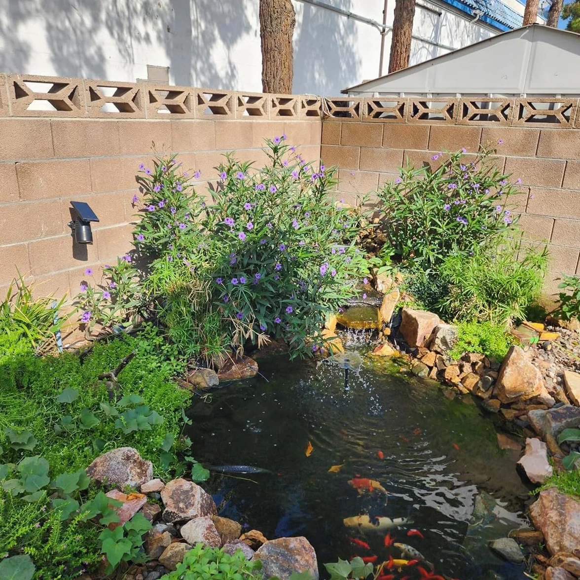 Fodera per Laghetto in HDPE Telo per Laghetto 10x12m 15x15m 1x2m 3x4m 5x6m 7x8m Giardini Acquatici Rivestimento per Laghetti Resistente Ai Raggi UV 0.12mm Spessore(3x8m)