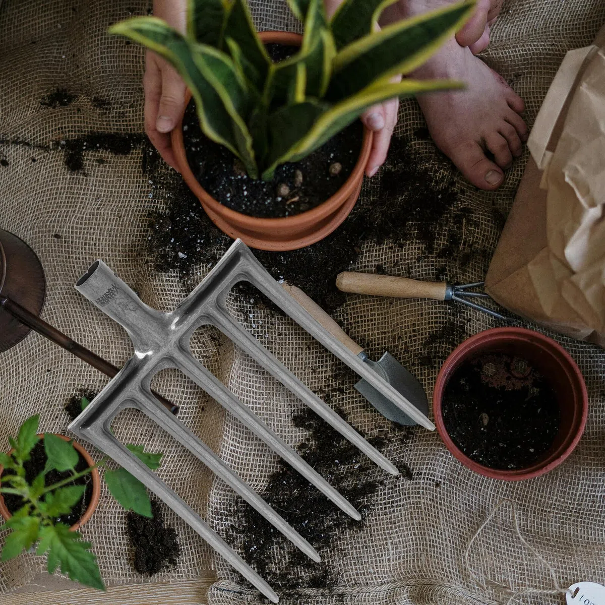 Levemolo Forca Agricola in Acciaio Resistente a 5 Denti per Giardinaggio e Orto, Testa Forca da Aratura Stabile per Dissodamento Terreno, Utensile Manuale Multifunzione per Lavori Agricoli