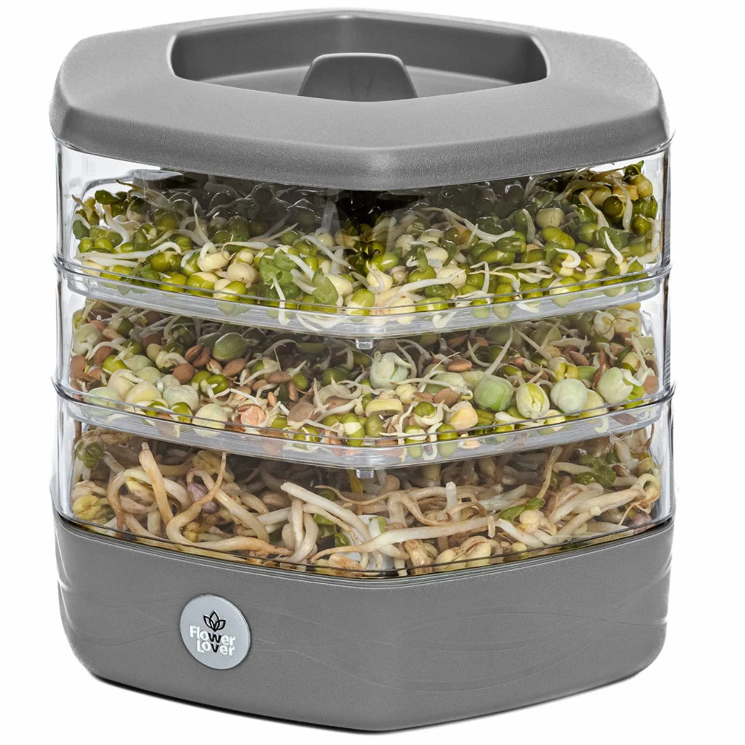 Germogliatore per Semi Alimentari con 3 livelli ø17 cm - Germinatore per Semi, Germogli, Microgreens - Germogliatore per Semi in Plastica, Grigio