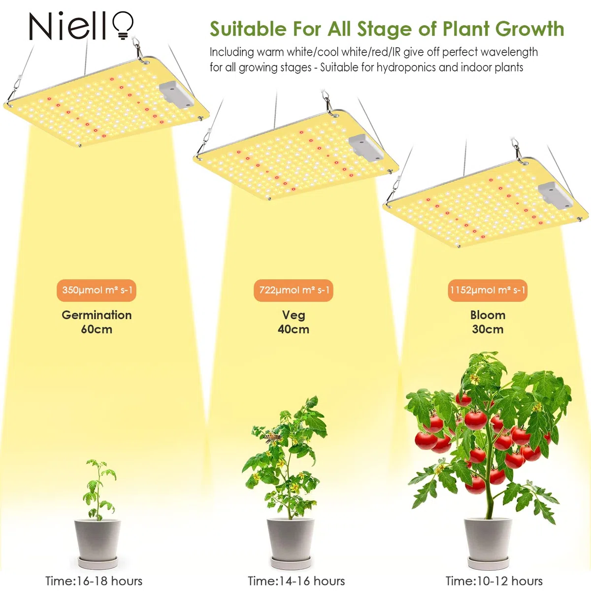 Niello Lampada per Piante con dimmer, QB1000W Grow Light con IR, High PPFD Sunlike Full Spectrum lampade LED Coltivazione per Indoor Veg And Bloom, Lampade per la Coltivazione Coprire 60 * 60cm