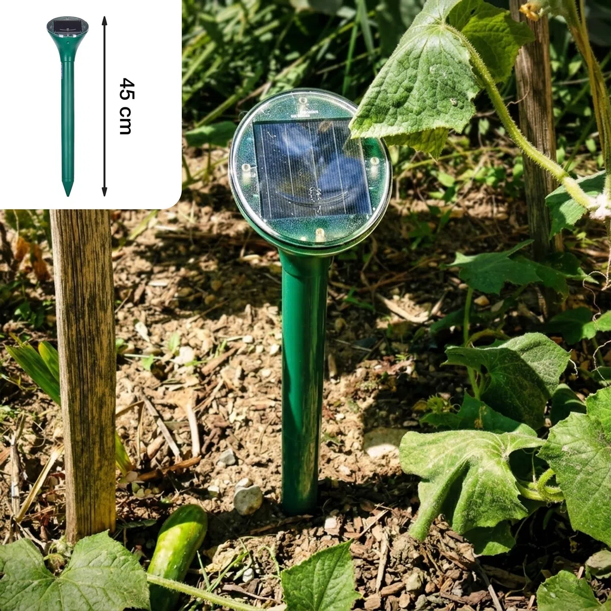 SWISSINNO Dissuasore solare talpe arvicole fino a 650 m² ultrasuoni vibrazioni anti roditori resistente alle intemperie per giardino prato funzionamento continuo giorno notte dispositivo 1 pezzo