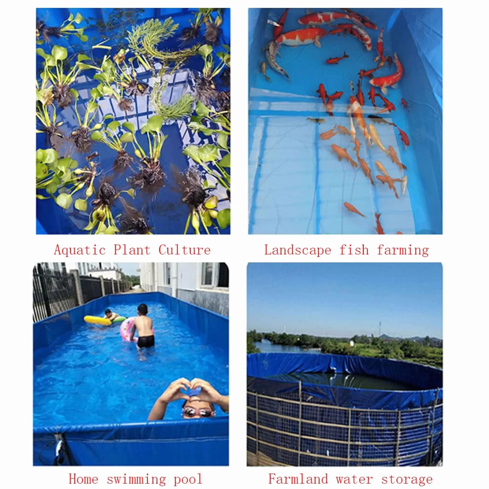 Laghetto per pesci in PVC fuori terra - Acquario portatile da interno per giardino ed esterno, ideale per pesci e piante acquatiche