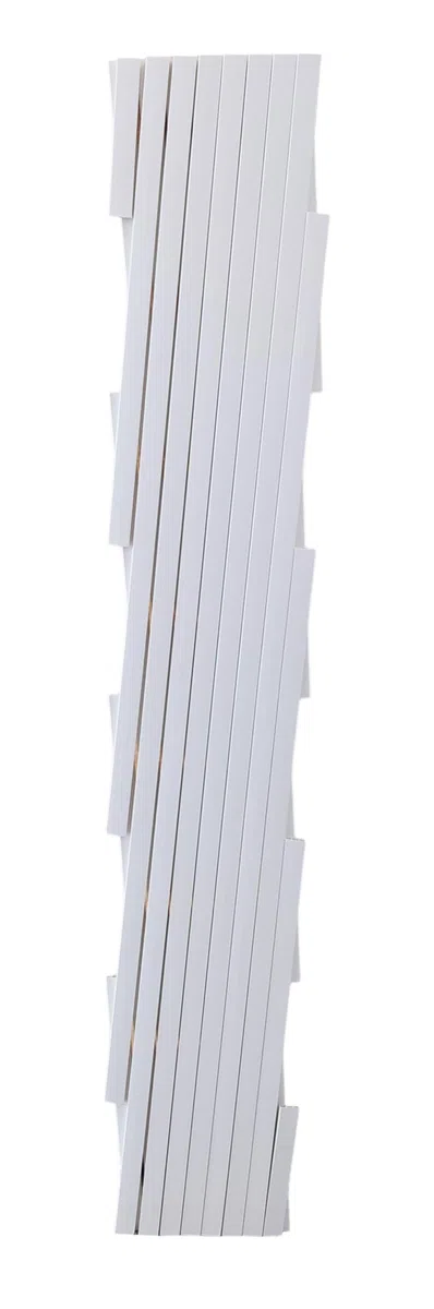 NG NICCOLAI - TRALICCIO ESTENSIBILE IN PLASTICA VARI COLORI E MISURE (1X1 MT, BIANCO)