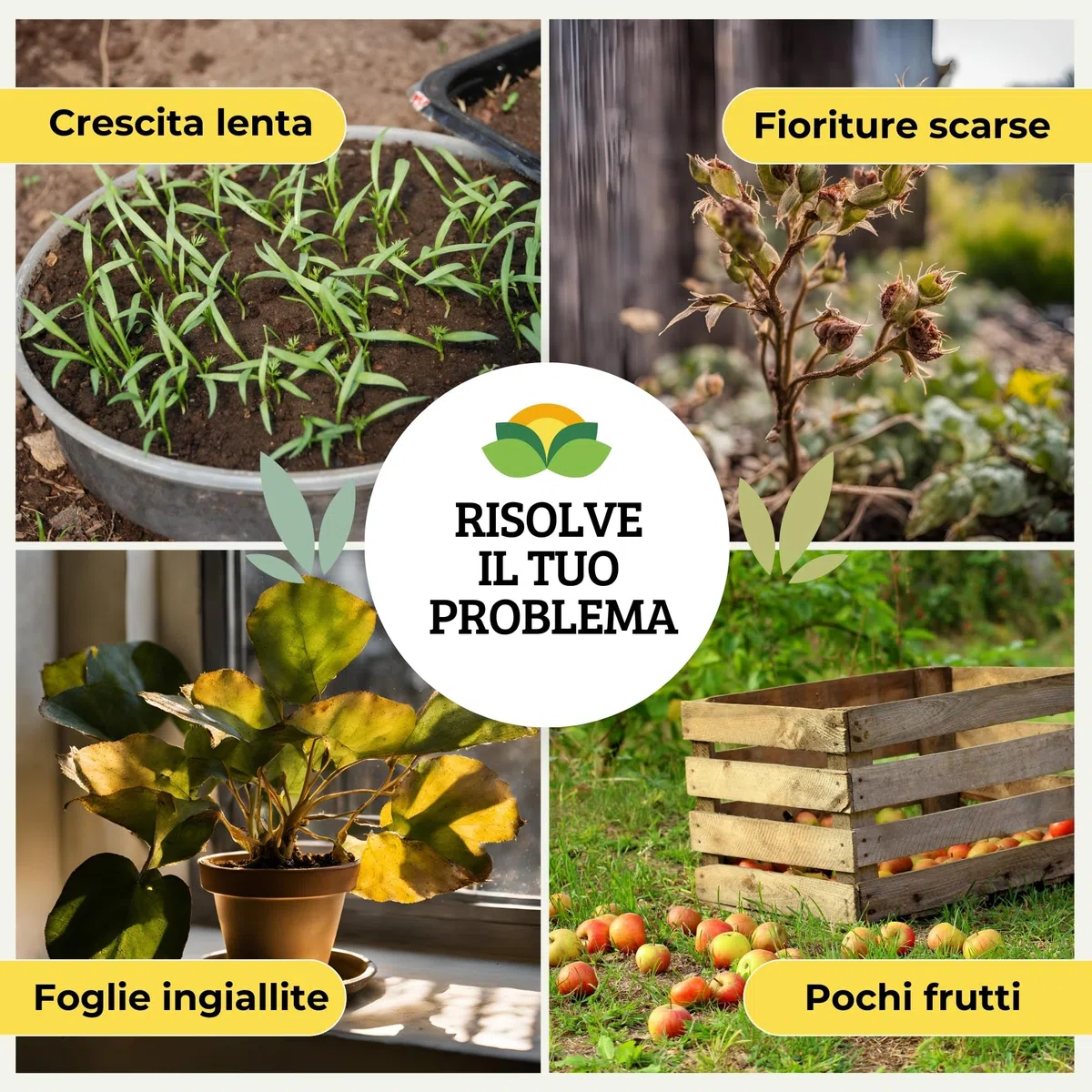 Albagarden - Concime Piante Universale Granulare - MAXI 5 KG - Fertilizzante Con L'aggiunta Di Calcio E Magnesio Per Giardino, Orto e tutti tipi di Piante