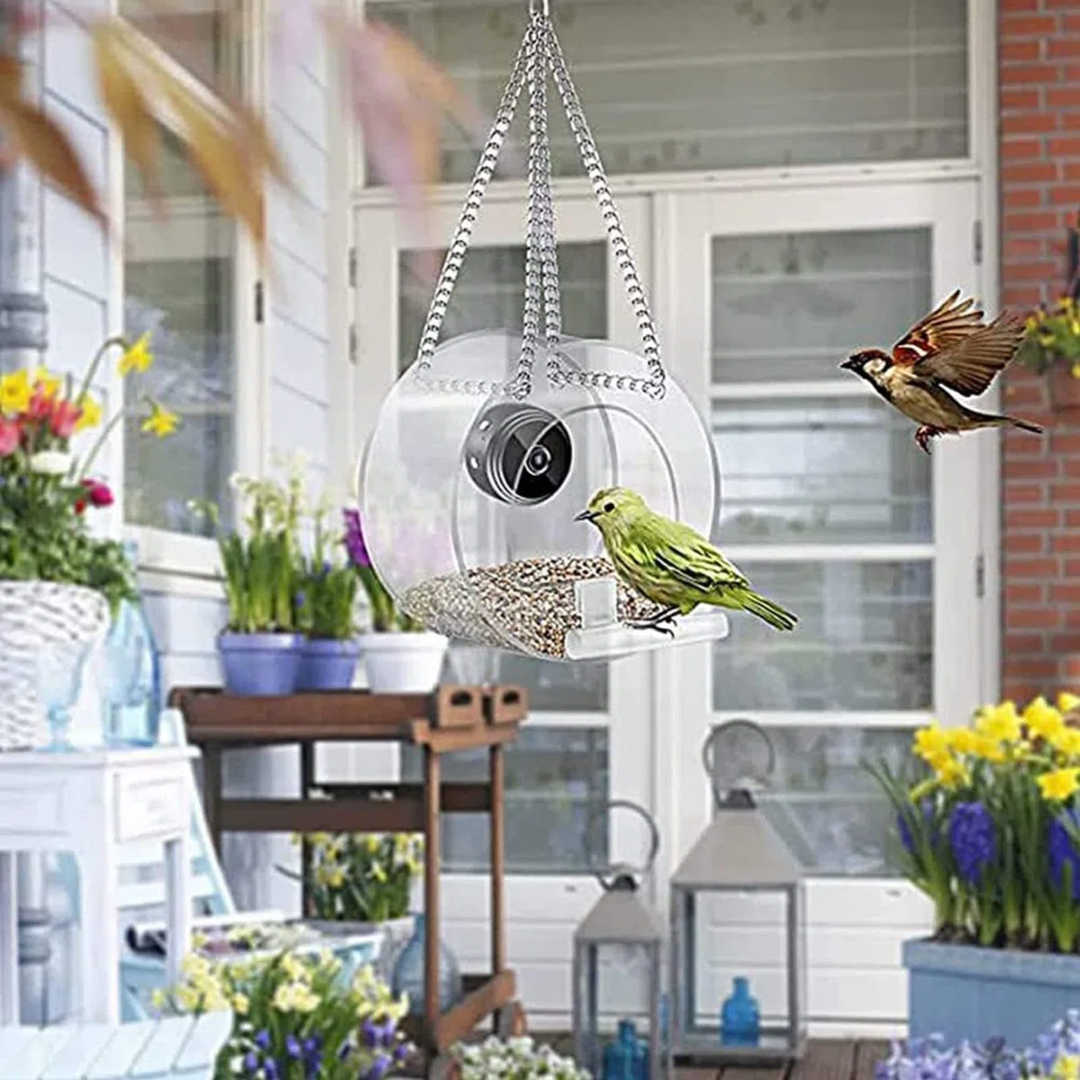 Telecamera smart wireless per esterni 1080P HD con visione notturna WiFi obiettivo grandangolare 150° per uccelli