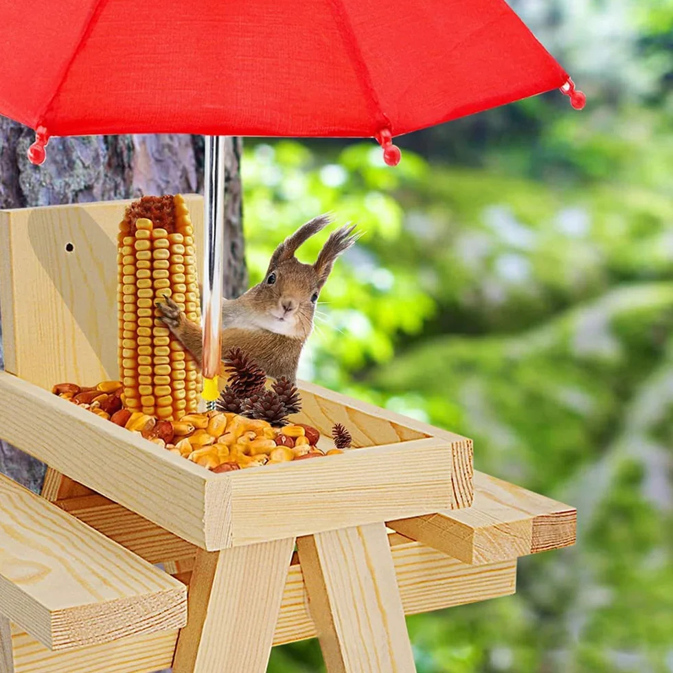 Mangiatoia Scoiattolo - Squirrel Feeder In Quercia, Distributore Di Cibo Per Scoiattolo, Facile Da Riempire, Resistente Alle Intemperie (Legname, Marrone scuro)