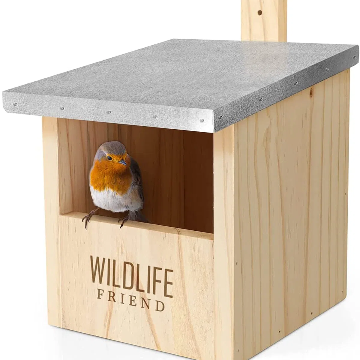 WILDLIFE FRIEND I Casetta per uccellini da esterno - Casetta Uccelli in Legno Massello con Tetto in Metallo - ideale per allevatori di pettirossi e altre specie - Uso per tutto l'anno