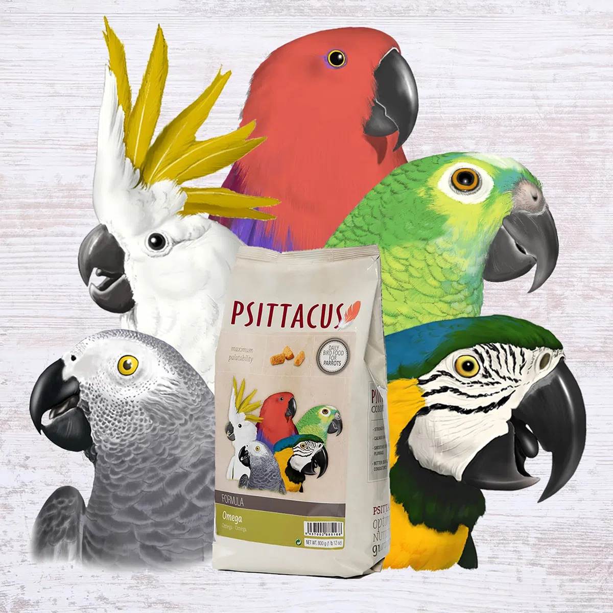 Psittacus Omega 800 g | Mangime completo per Ara, ecletti, cenerini ed altri pappagalli africani | Alimento premium per uccelli, 100% no-GMO