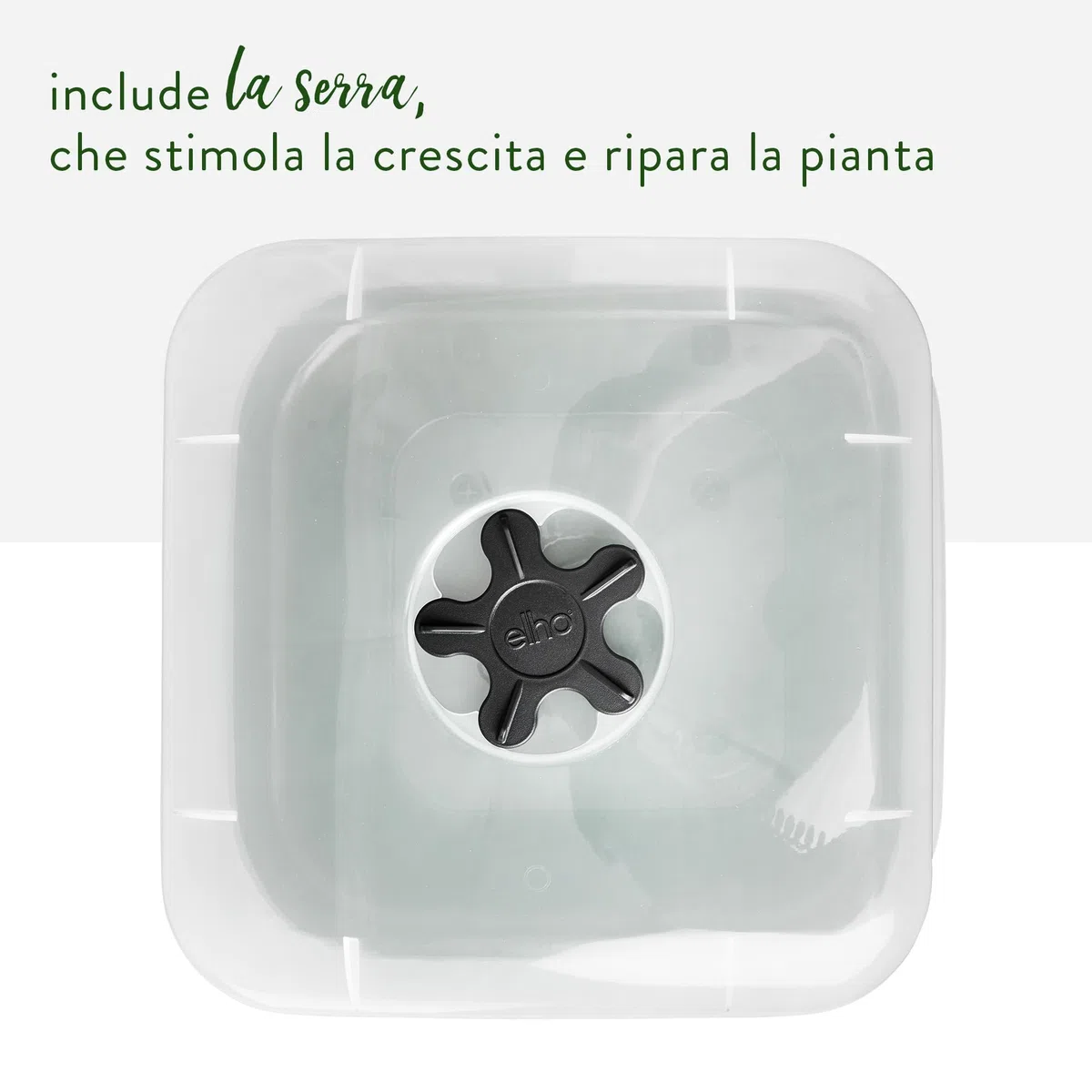 Elho Green Basics Growpot Square Allin1 15 - Vasetti per Piantine - Ø 15.0 x H 12.1 cm - Leaf Green