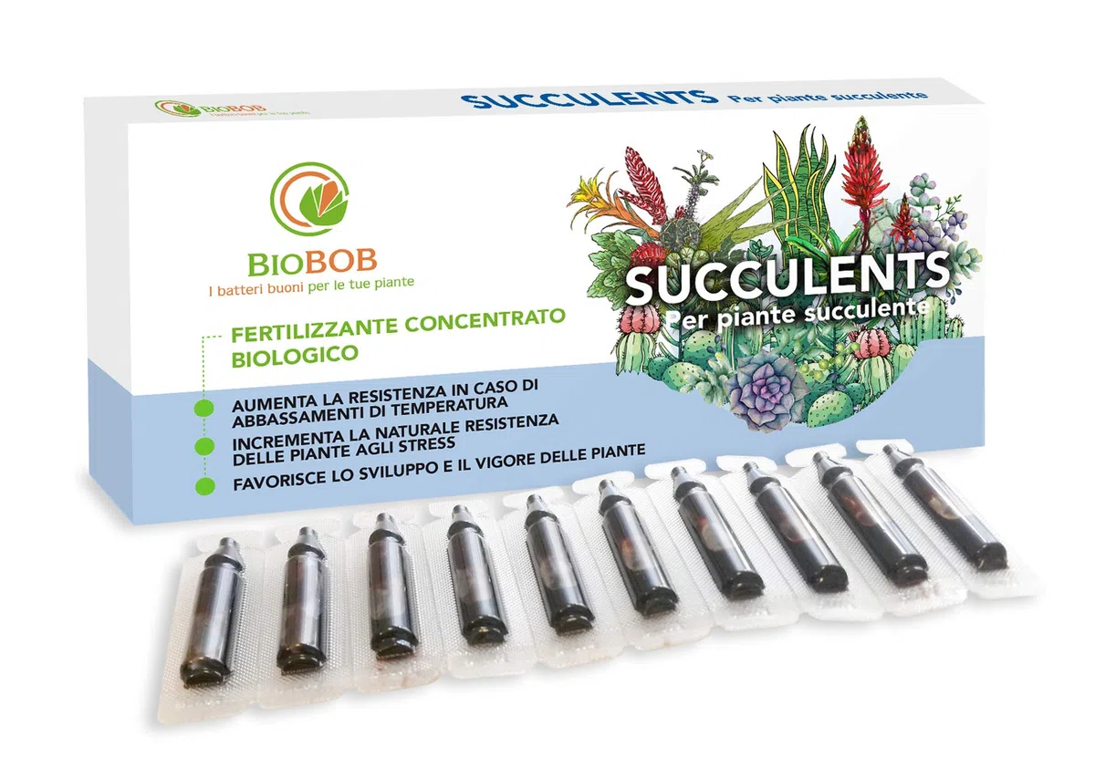 Succulents - Concime Biologico per Piante Grasse - Kit salvaspazio per piante grasse