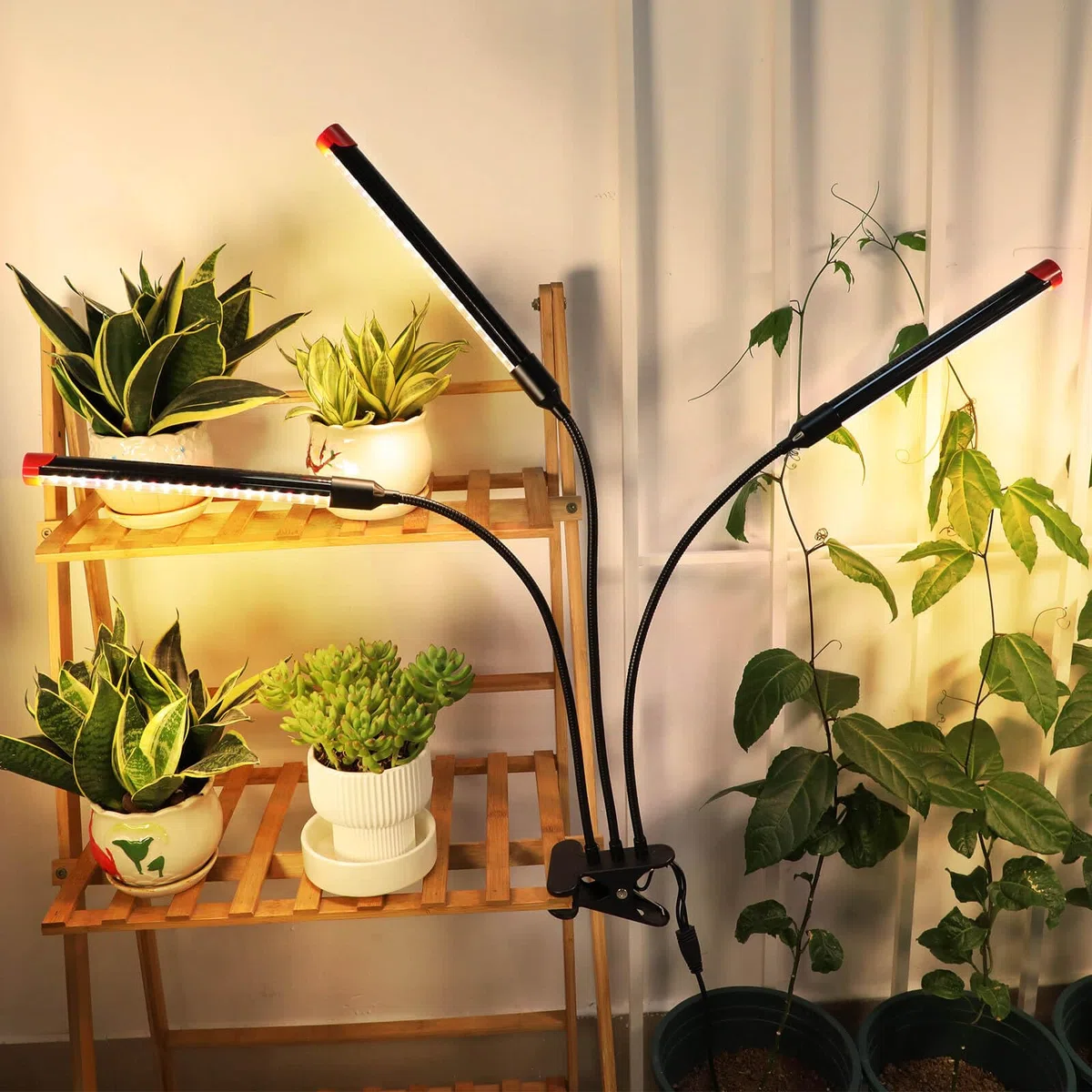 FRGROW Lampada da Coltivazione per Piante Interno, per Indoor, grow light full spectrum, Luce di Coltivazione A Spettro Completo 3000K/5000K/660nm, 3 Modalità 10 Luminosità Con Timer