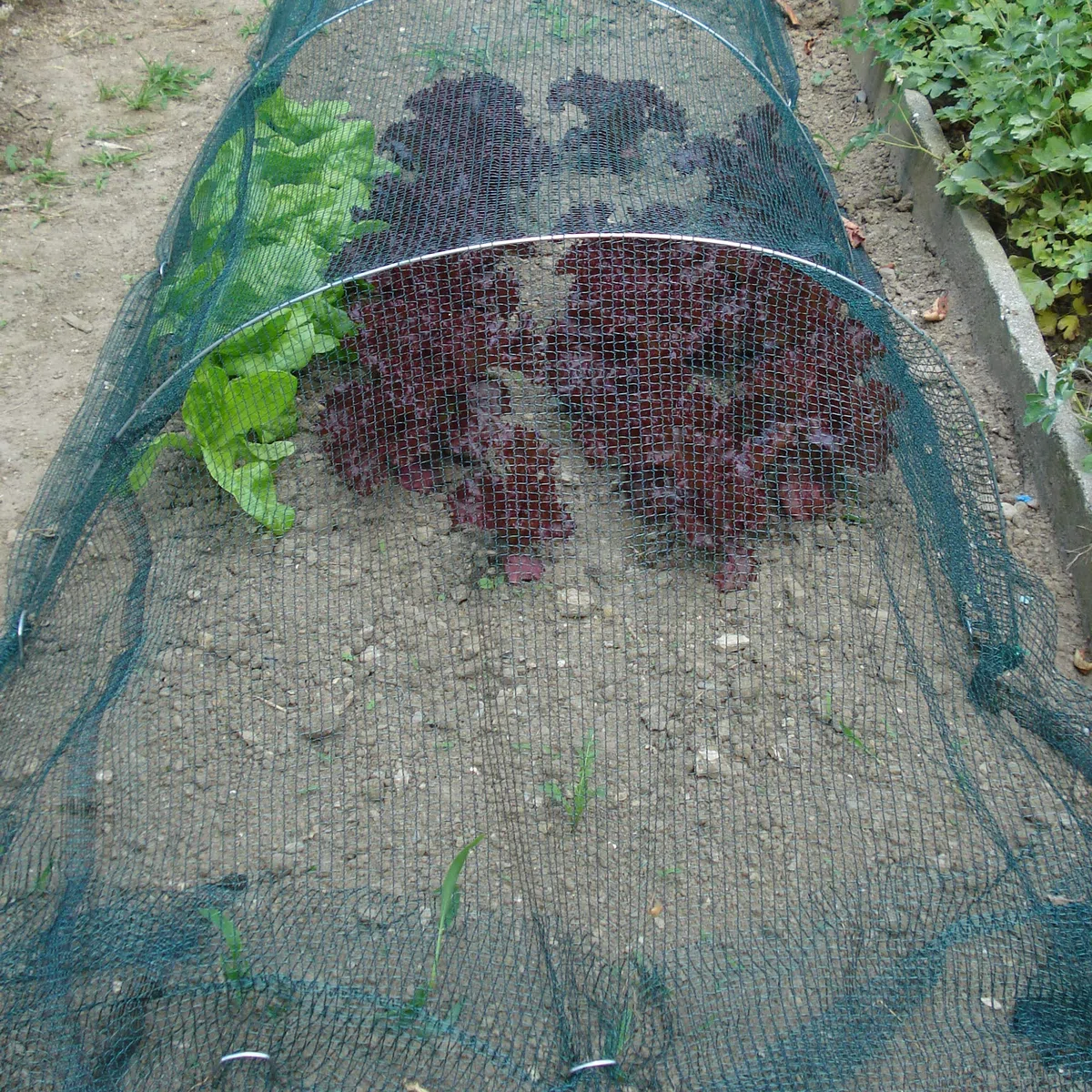 Tenax Rete Antigrandine Tessuta, Defender, 4,00 x 5 m, Verde
