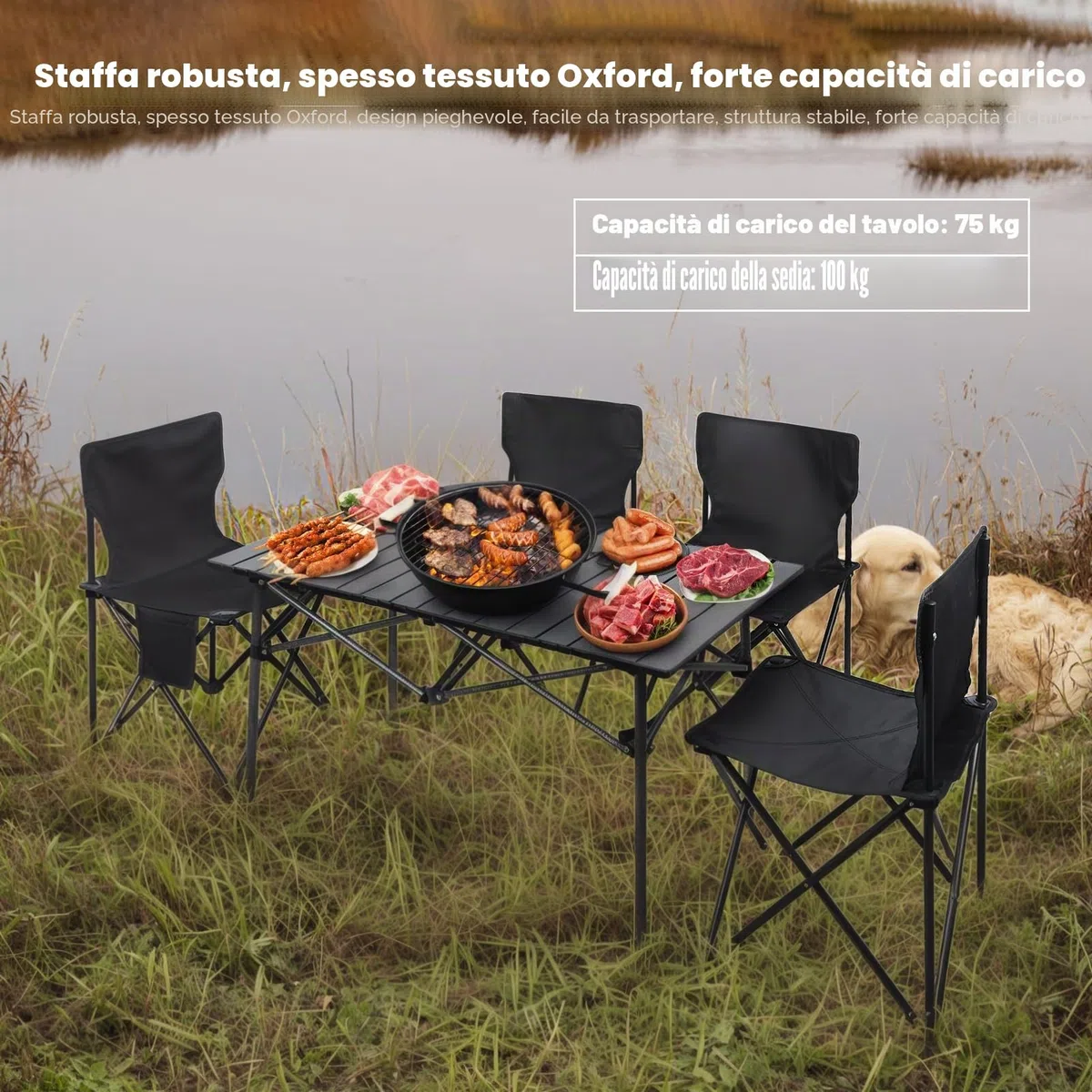 Set di tavolo e sedie da campeggio, tavolo e sedie da picnic pieghevoli, in metallo, portatili, 4 sedie, con grande organizer e borsa per il trasporto, per picnic, campeggio, barbecue, nero
