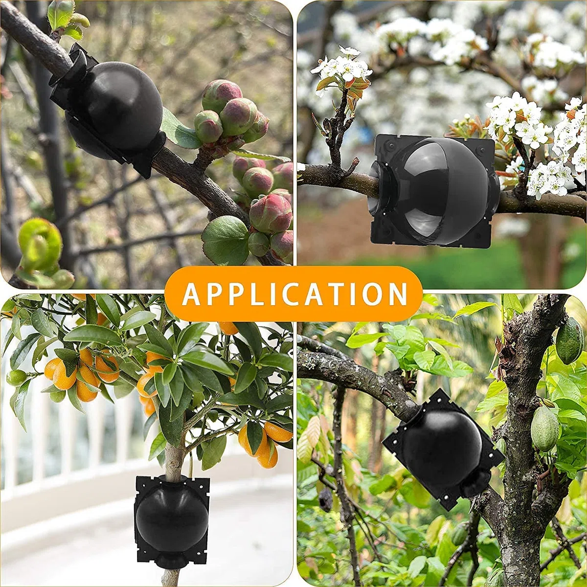 15 Pezzi Propagatori Alta Pressione, Scatola Radicamento Piante Riutilizzabile Dispositivo Innesto a Sfera Propagazione Scatola Radici Piante Giardino Assistita (L+M+S, Nero)