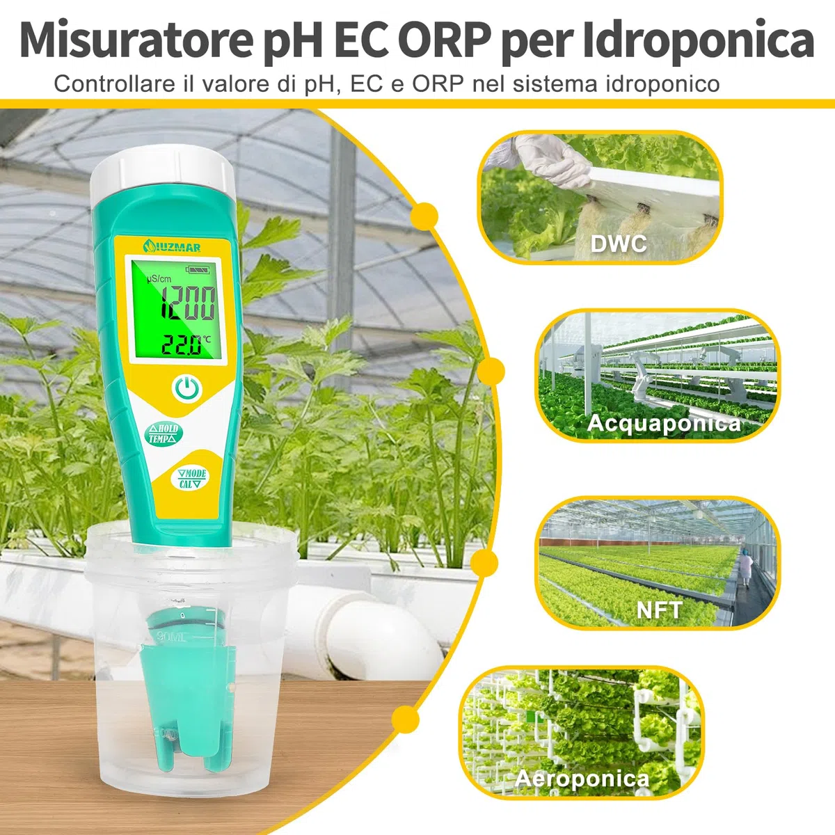UIUZMAR Misuratore di pH e ORP Redox Salinità Piscina, 6 in 1 Tester | pH Sale Redox EC TDS per Piscina di Acqua Salata, Misuratore pH EC TDS per Idroponica, Acquario, Acqua Potabile