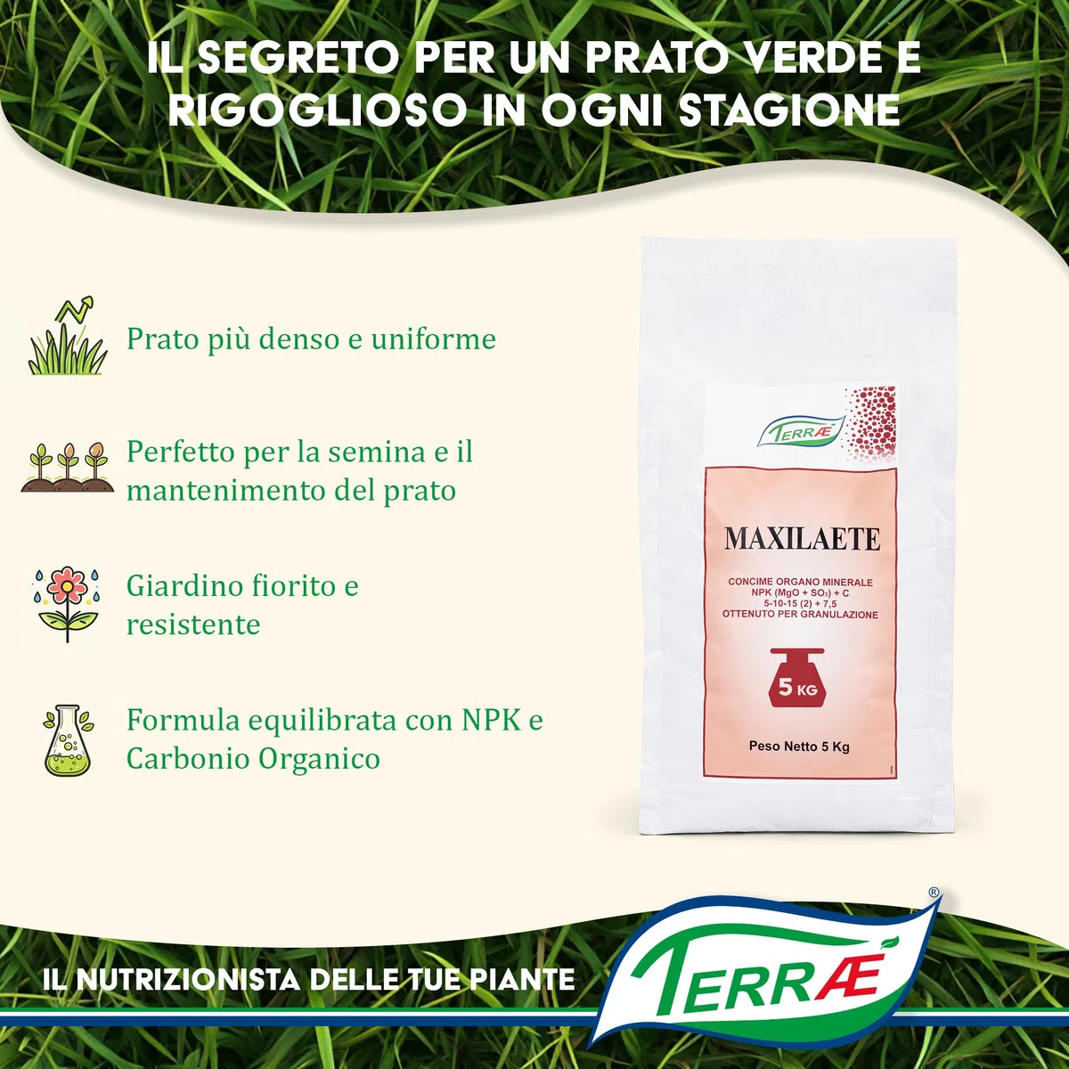 Concime Prato Estate 5 KG - 165m² | Effetto Prato Inglese | Concime Granulare Lenta Cessione per Tappeto Verde Rigoglioso | Fertilizzante Prato Erboso con Antimuschio per Erba Sana | NPK