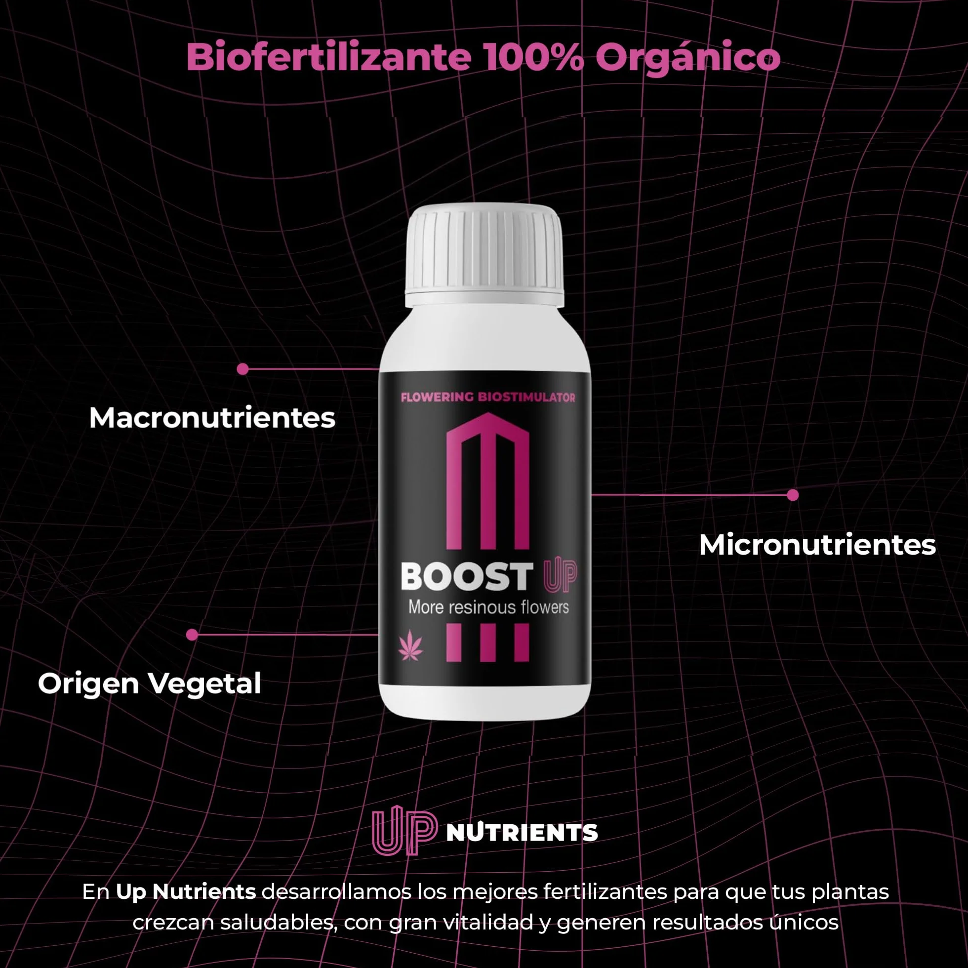 GROWMANIA Bio Heaven di BioBizz 250 ml + Probe Boost Up di Up Nutrients + misurino | Stimolatore di vitalità organico per piante | Per piccoli giardini e vasi di fiori