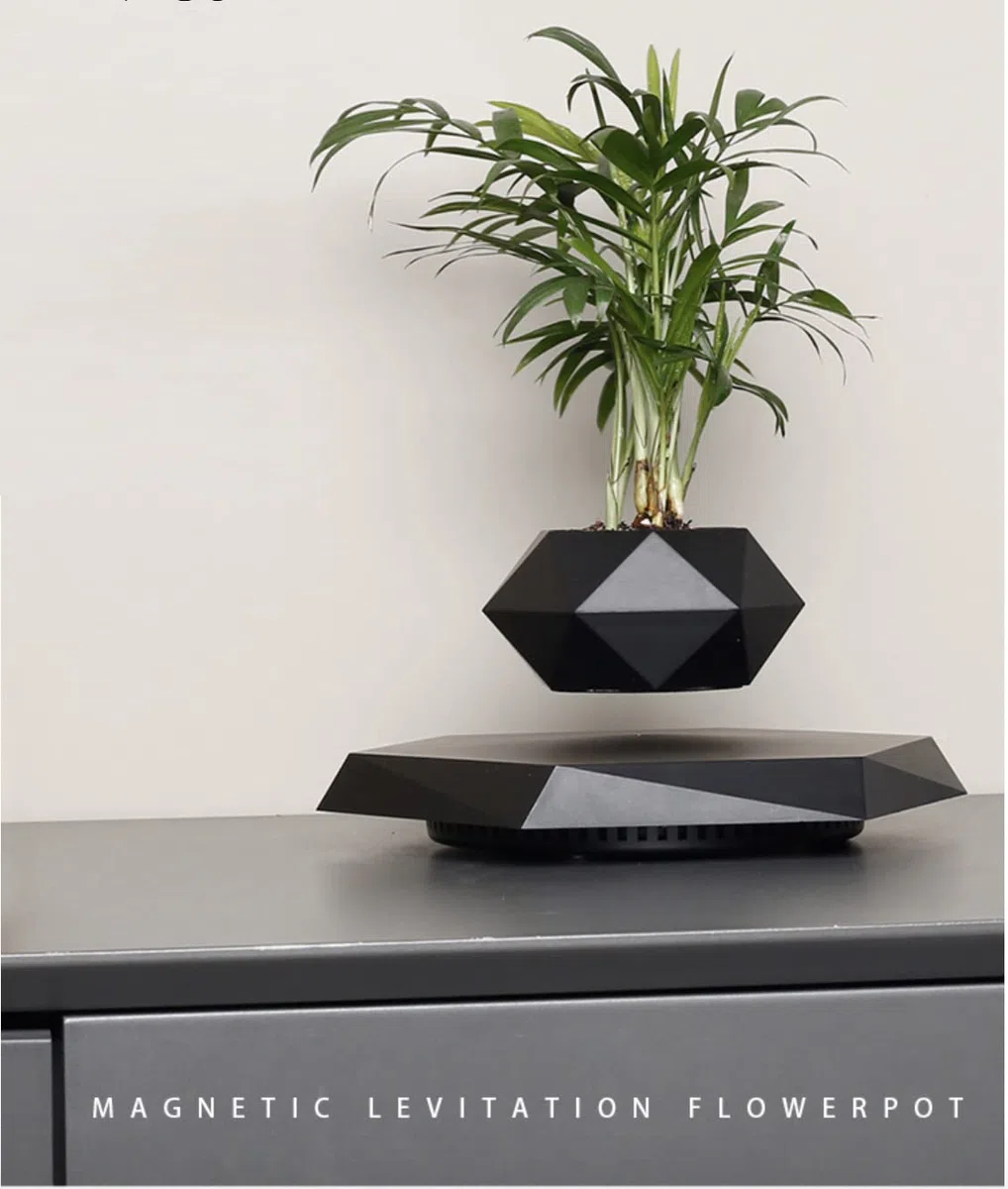 Vasi per Bonsai Vaso Fiori Levitazione Magnetica Vaso Pianta Vaso da fiori sospeso Vaso da fiori per decorazione da scrivania