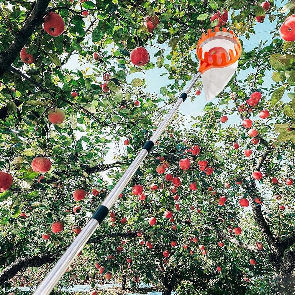 MANGLI 4,2 m raccogli frutta, raccogli mele, con manico telescopico, raccogli ciliegie in acciaio inox e sacchetto di cotone, raccogli frutta per ciliegie, pere, agrumi, pesche