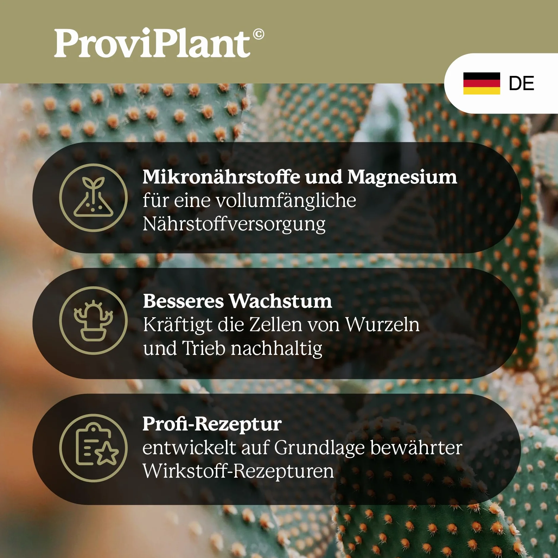 Fertilizzante per cactus – 1 litro di fertilizzante speciale per piante grasse e piante grasse per interni ed esterni, qualità professionale, ad alta efficienza – 200 litri di acqua – Made