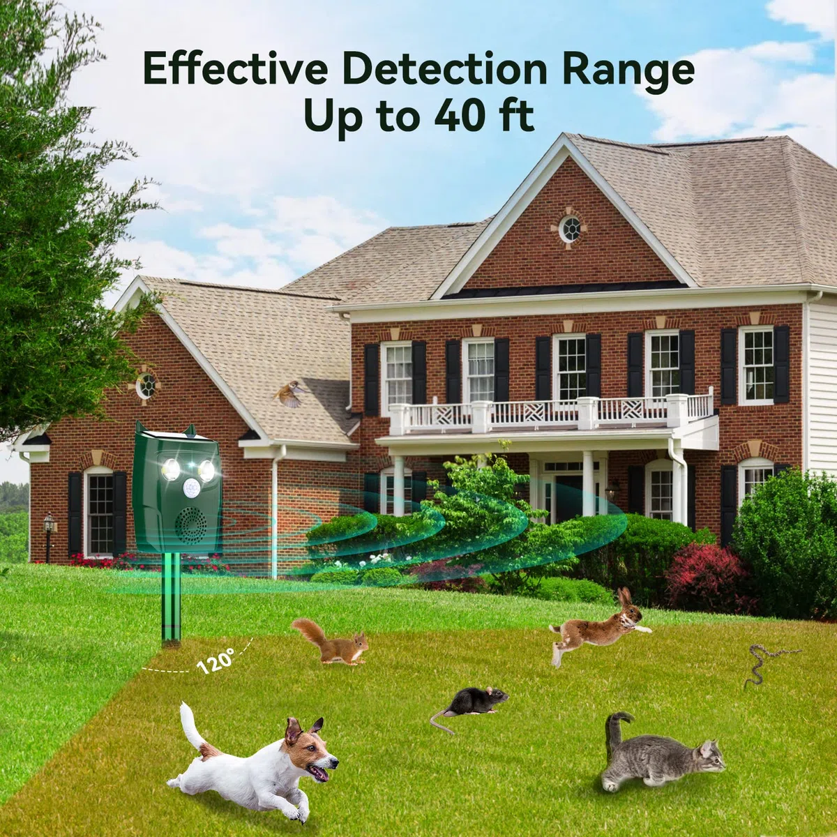 Dissuasori per Piccioni per Giardino, Repellente per Gatti a Ultrasuoni con sensore di movimento, 3 Modalità a Ultrasuoni e flash possono automaticamente, resistente alle intemperie, Solare