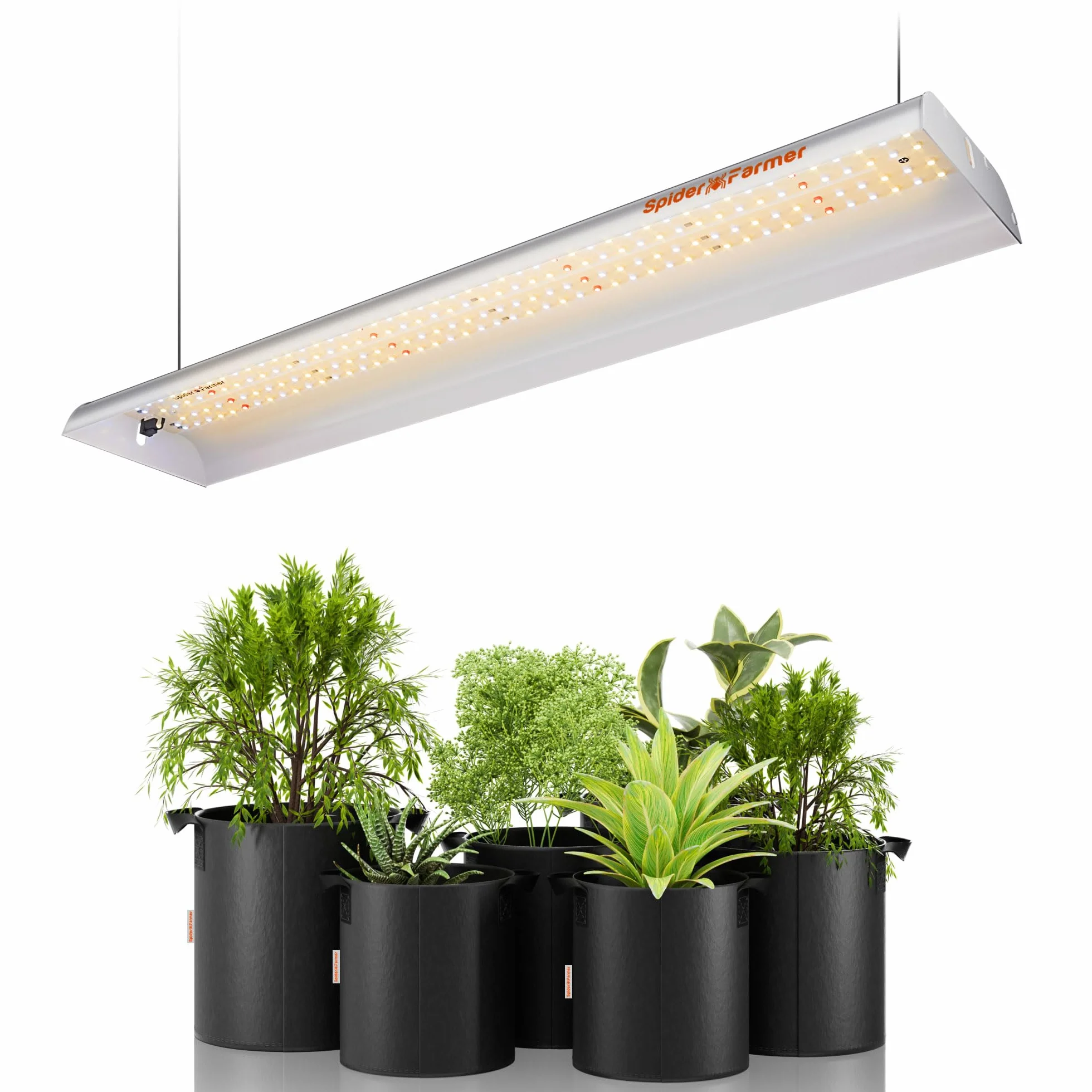 SPIDER FARMER SF300 Lampada da coltivazione per piante indoor Spettro solare Completo per Germinazione Vegetativo Fioritura Idroponica con 192 LED