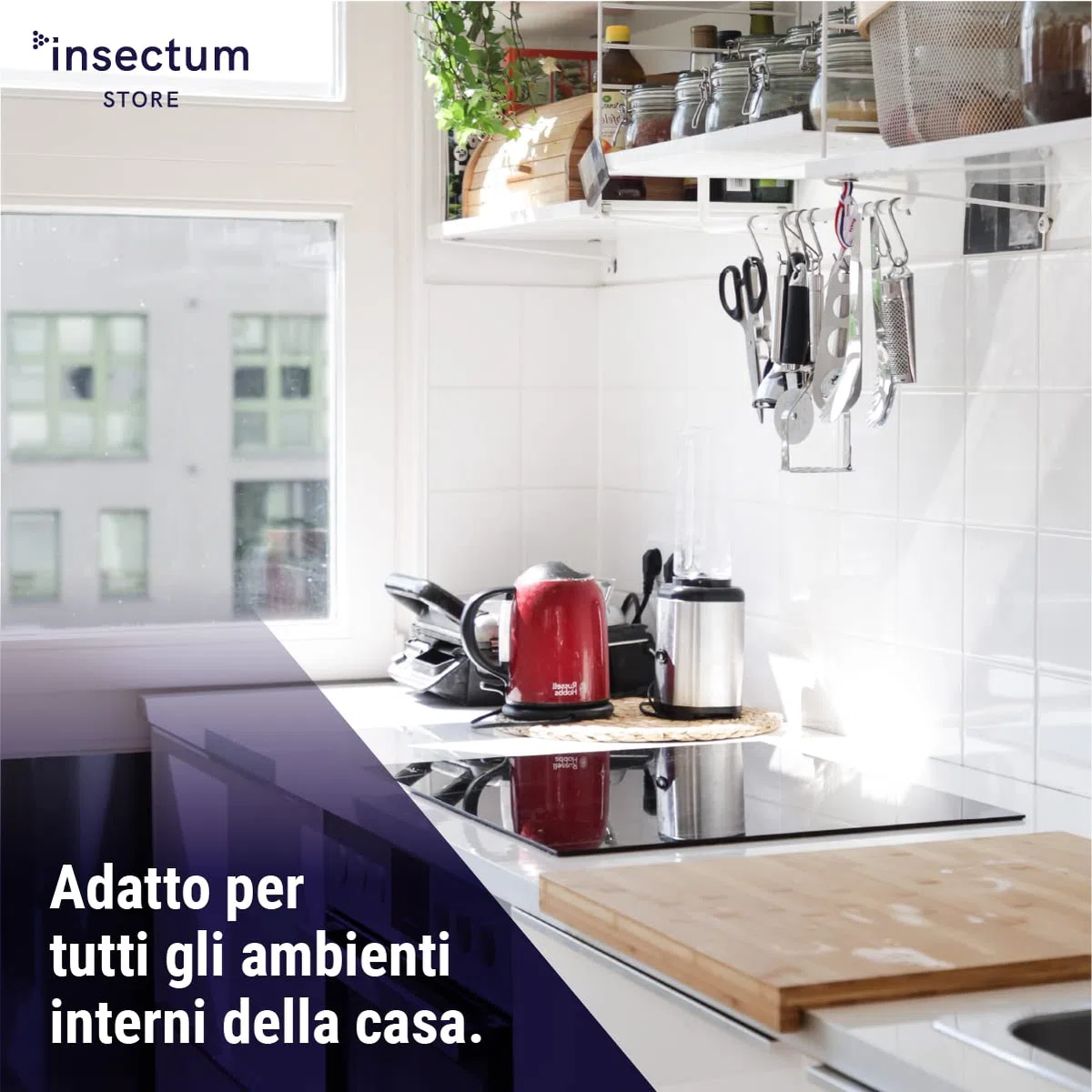 SMASH Spray Insetticida Formiche per Casa - 1x500 ml - Adatto per Ambienti con Animali Domestici. Senza Permetrina. Antiformiche per Interno Casa - Istruzioni incluse