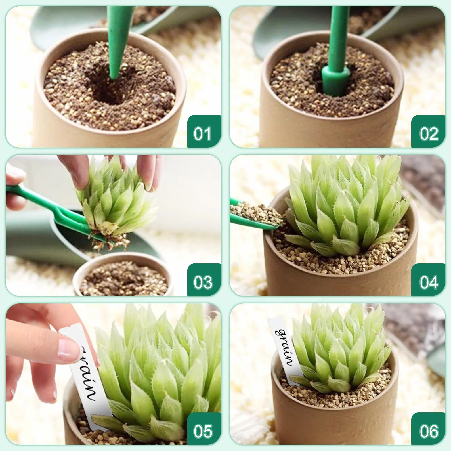 5 Pezzi Vassoi per Germinazione, Mini Serra Germinazione, Vassoi per Semi con Luce di Coltivazione, Semenzaio Propagatore Semi con Coperchi Alto con 10 Etichette, 2 Strumenti per Piante da Semina
