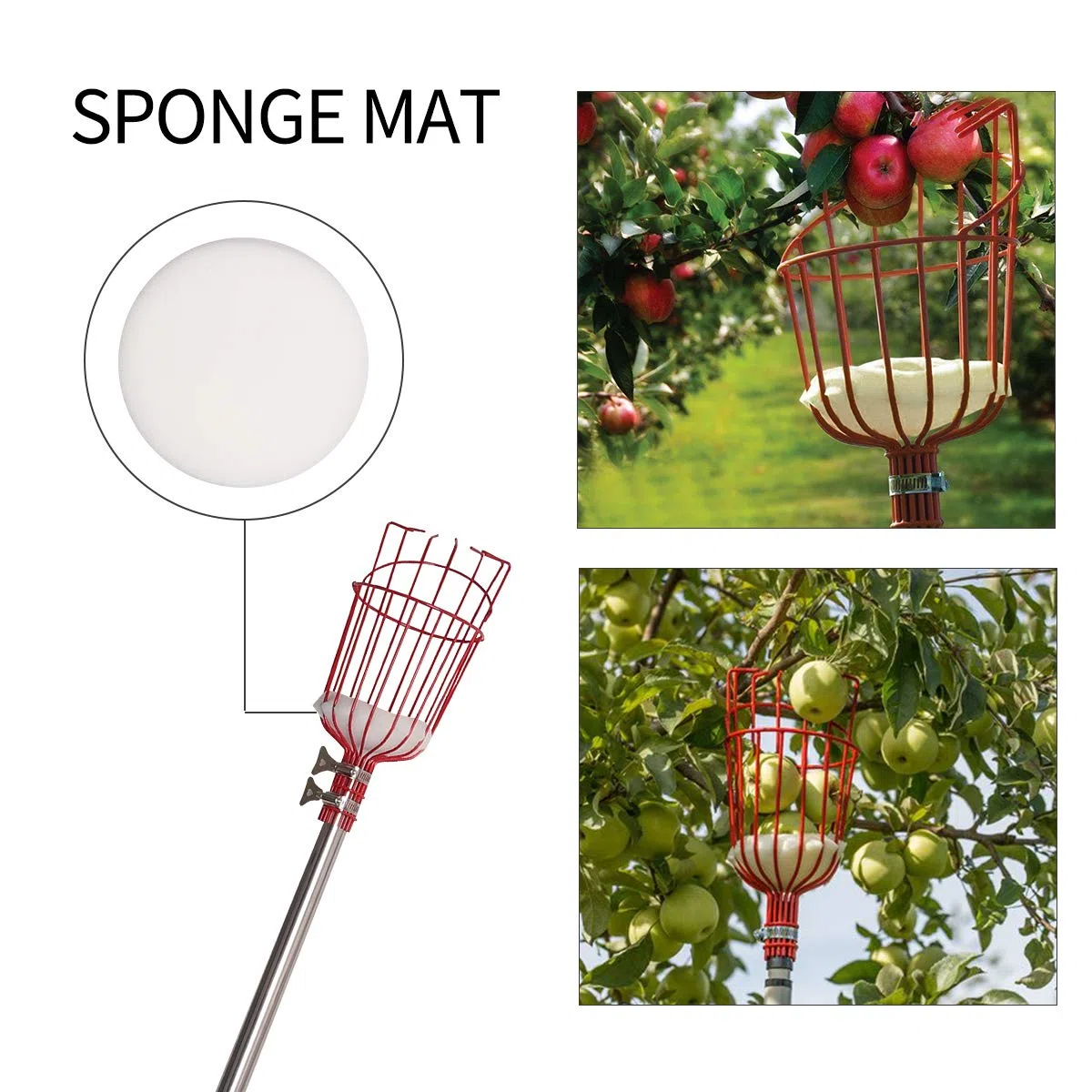 Raccogli Frutta Telescopico Raccoglifrutta con Testa a Cestello Asta di Estensione da 4 m, Raccogli Frutta Regolabile in Altezza con Palo Leggero Acciaio inox e Borsa per il Trasporto Della Frutta