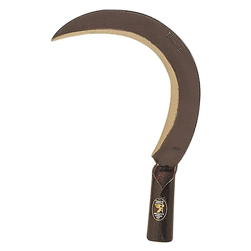 RONCOLA SCANSANO CM 26