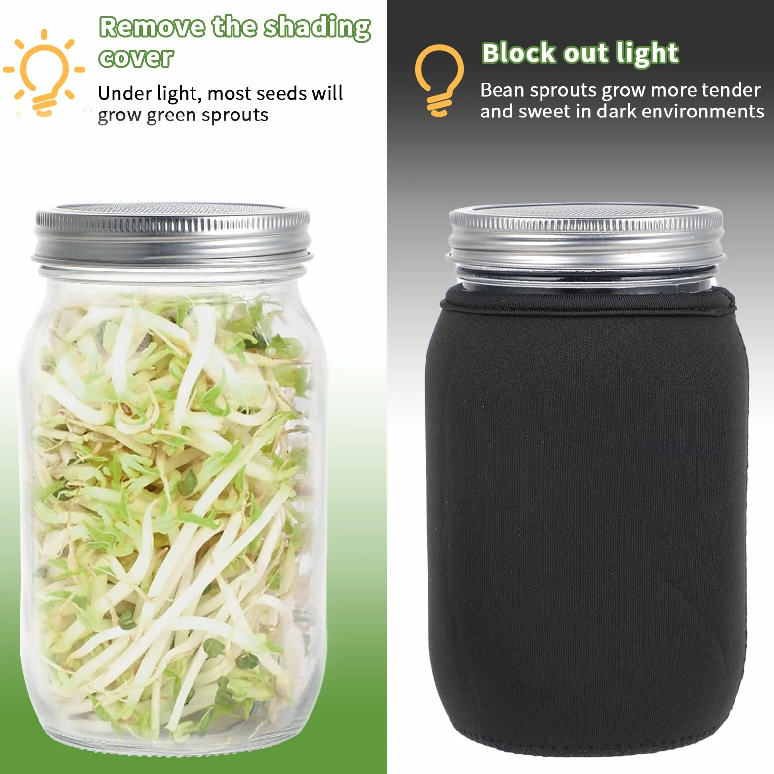2 Pezzi Germogliatore - Vaso per Germogli 32oz - Materiale Vetro - Con Coperchio in Acciaio Inox, Supporto e Vassoio in Plastica - Per Coltivare Microgreens - Per Casa, Cucina, Giardino (Nero)
